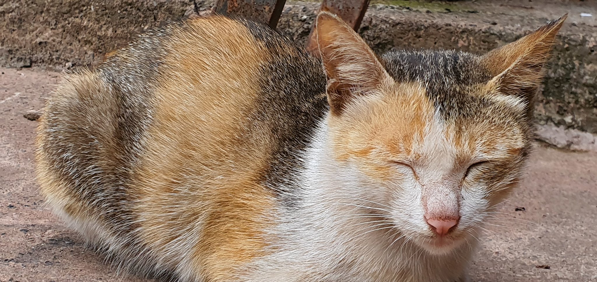 20191004_170754.jpg