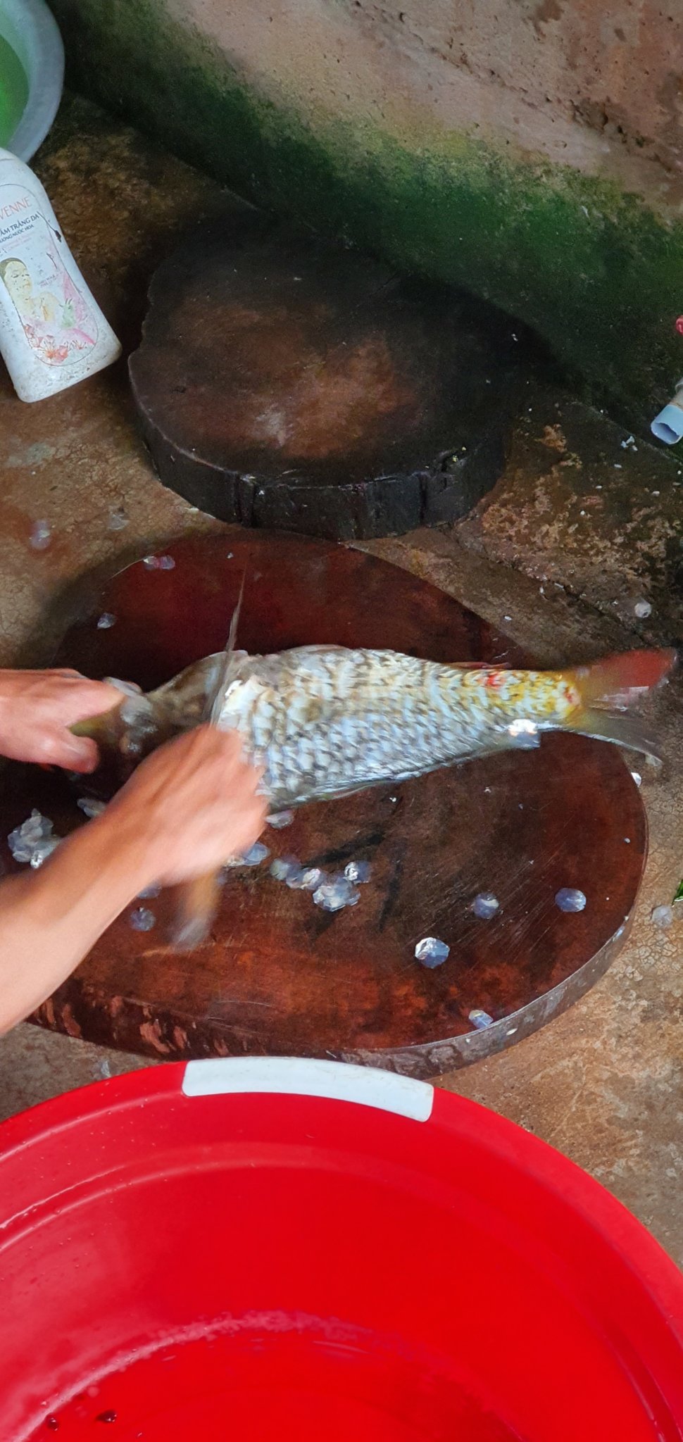 20191004_171834.jpg