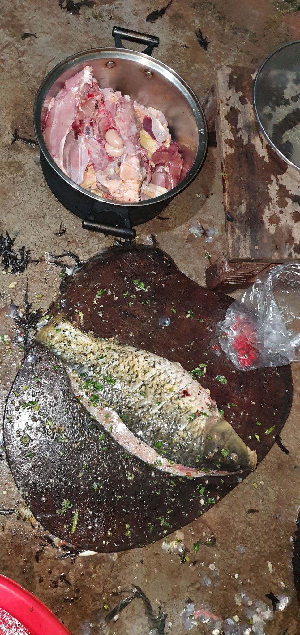 20191004_181500.jpg
