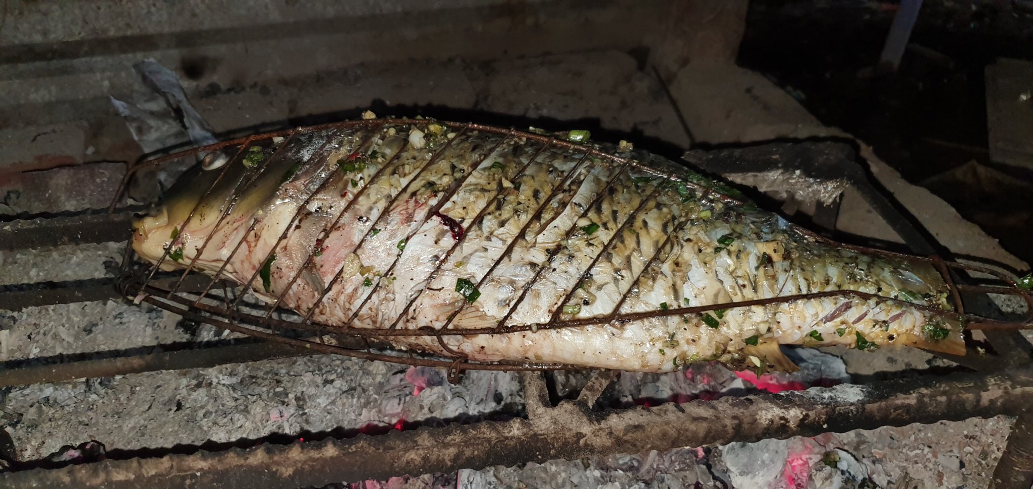 20191004_181902.jpg