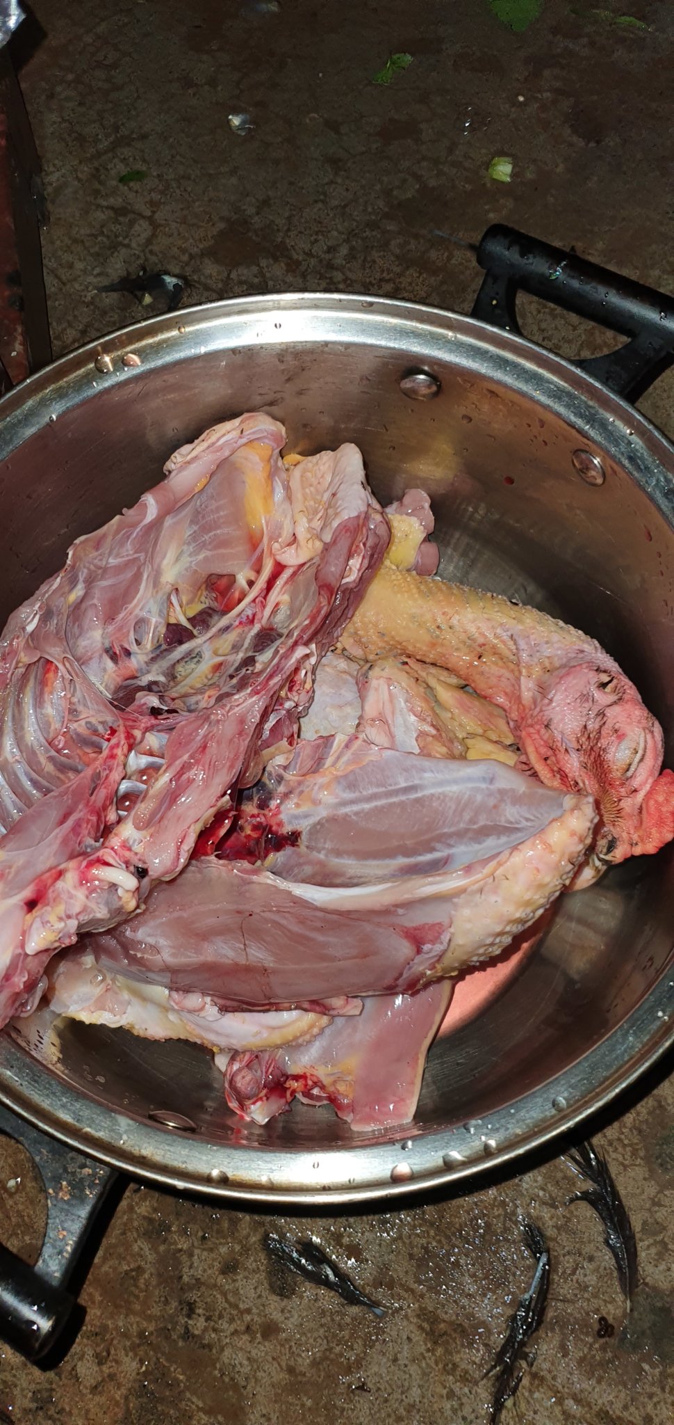 20191004_182310.jpg