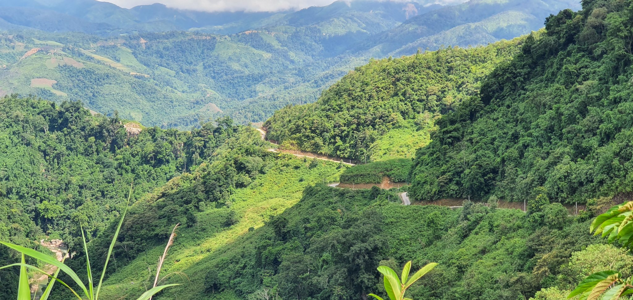 20191005_102450.jpg