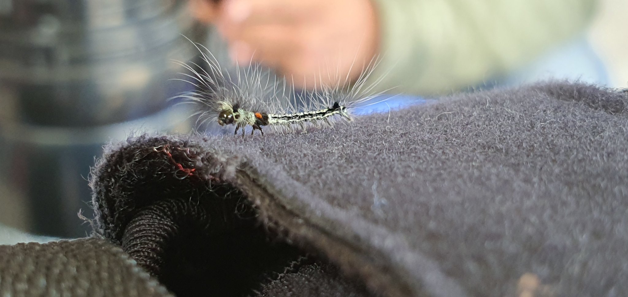 20191005_110925.jpg