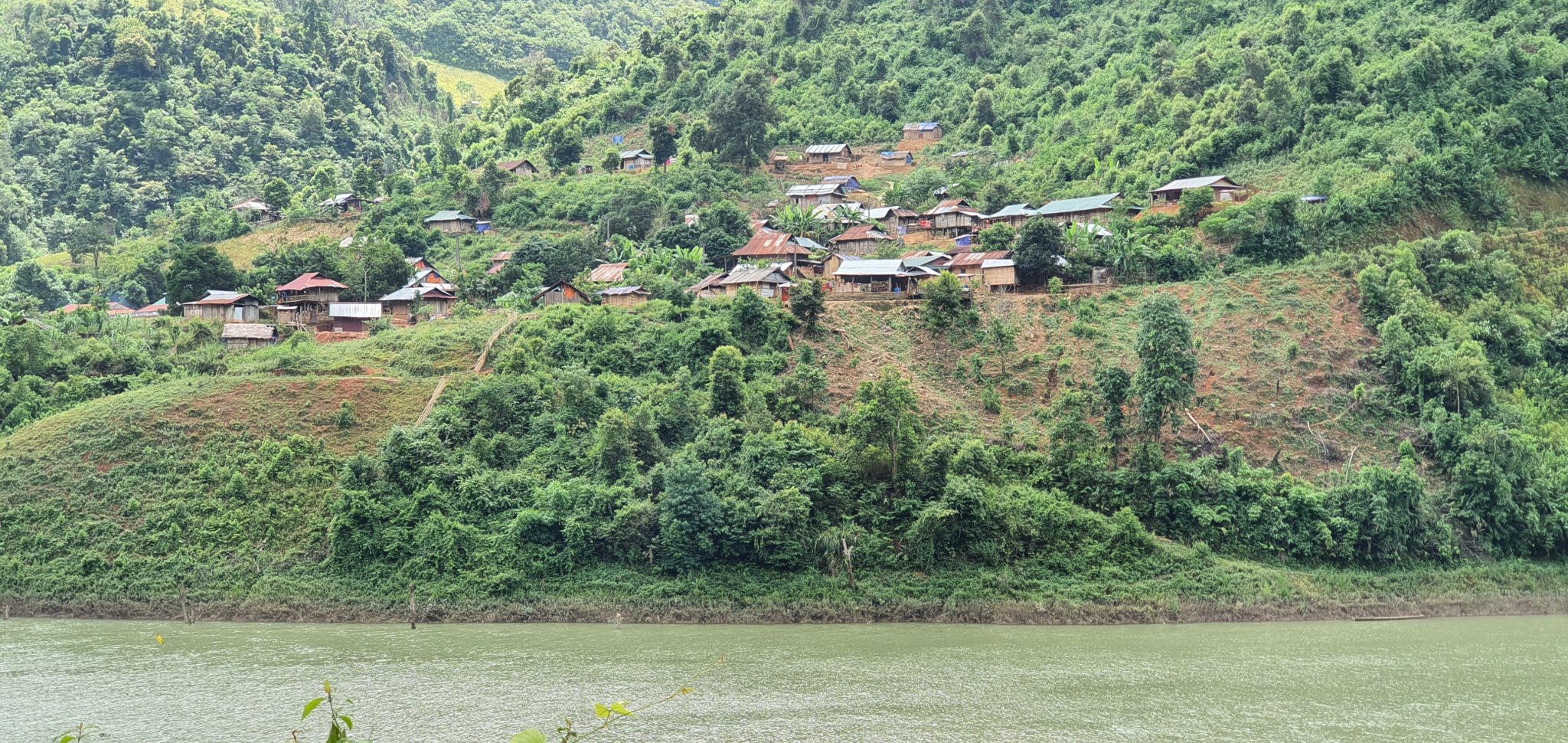 20191005_120225.jpg