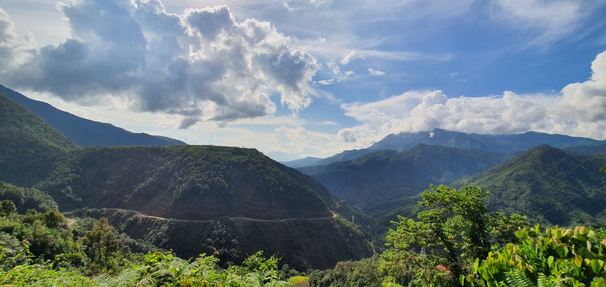 20191005_150537.jpg