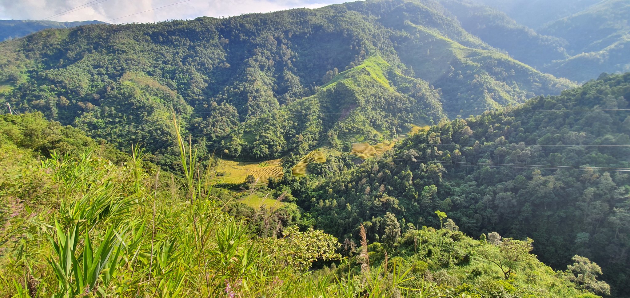 20191005_152823.jpg
