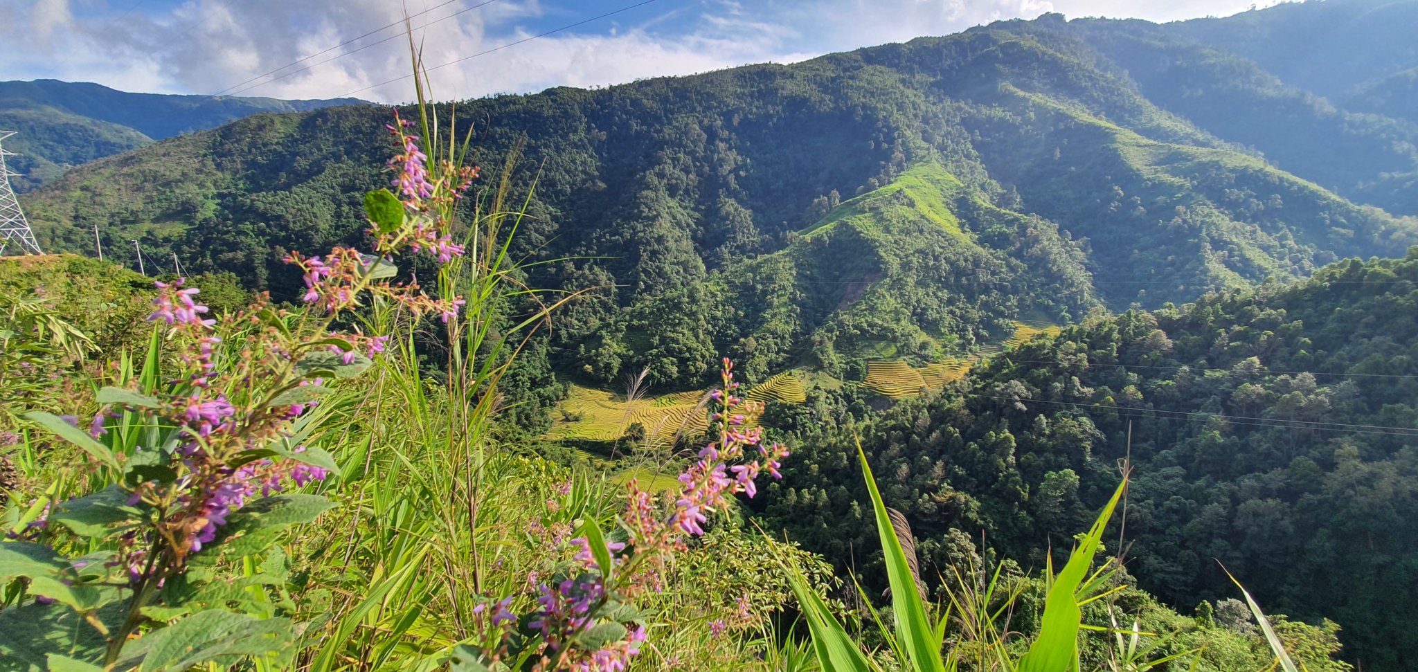 20191005_152834.jpg