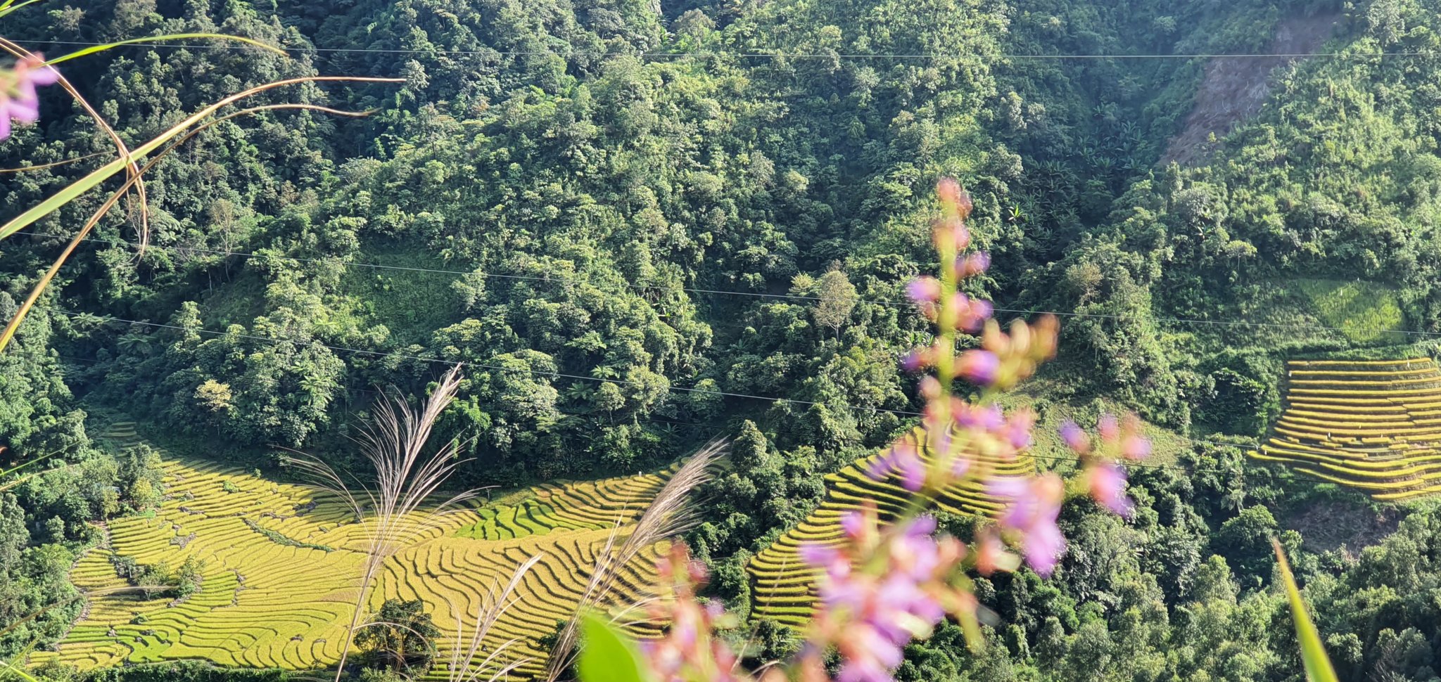 20191005_152848.jpg