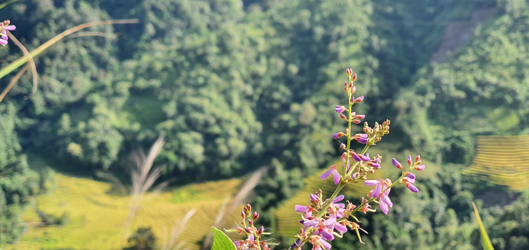 20191005_152850.jpg