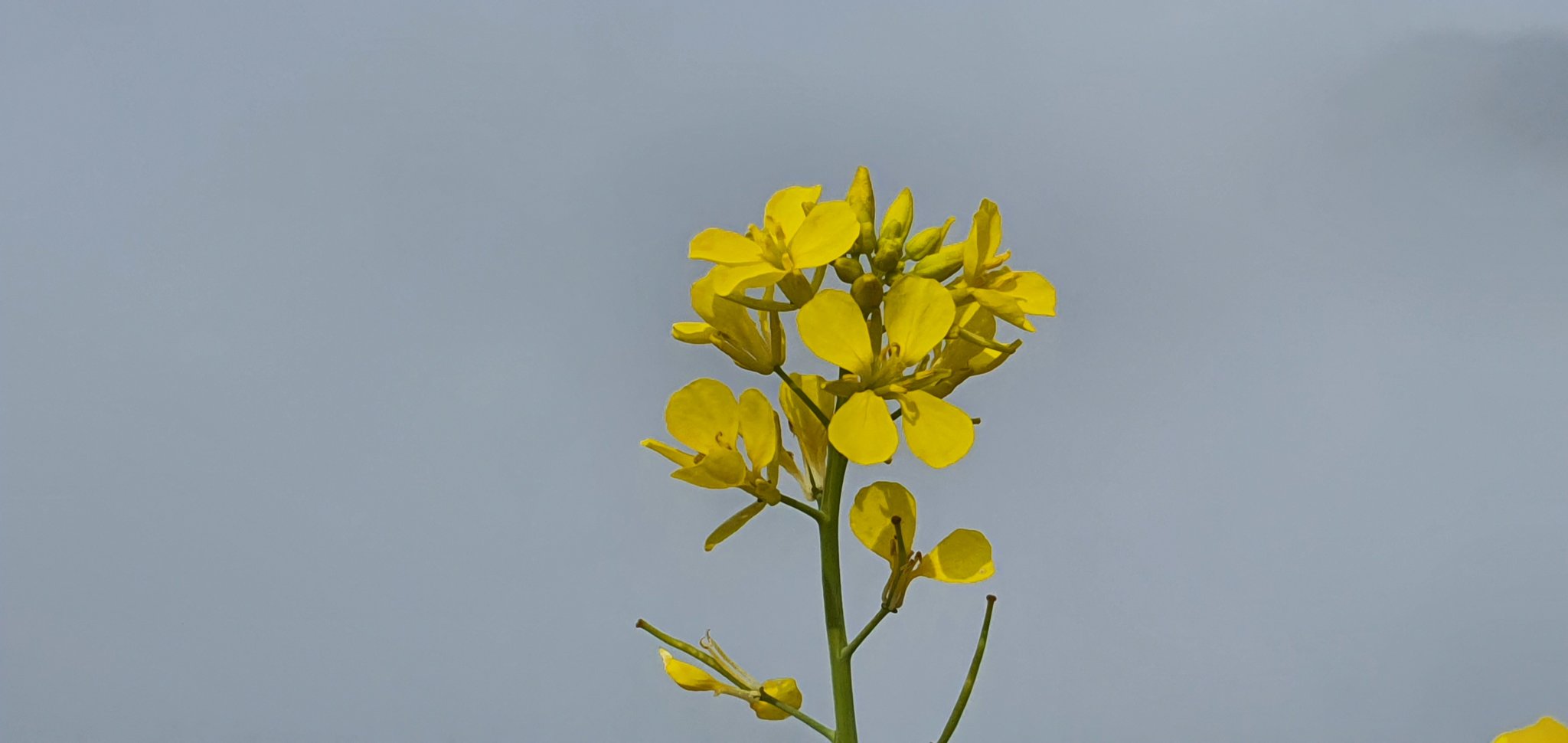 20191006_094933.jpg