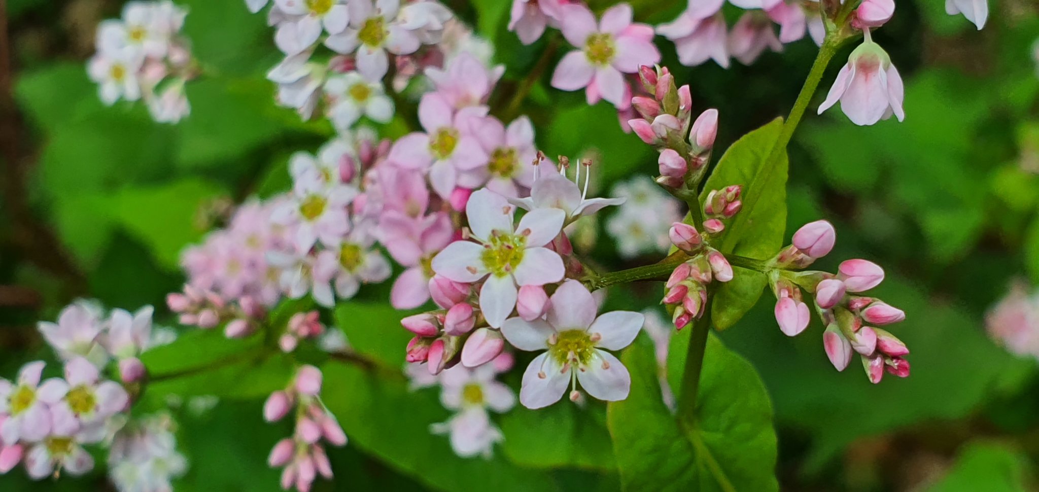 20191007_114507.jpg