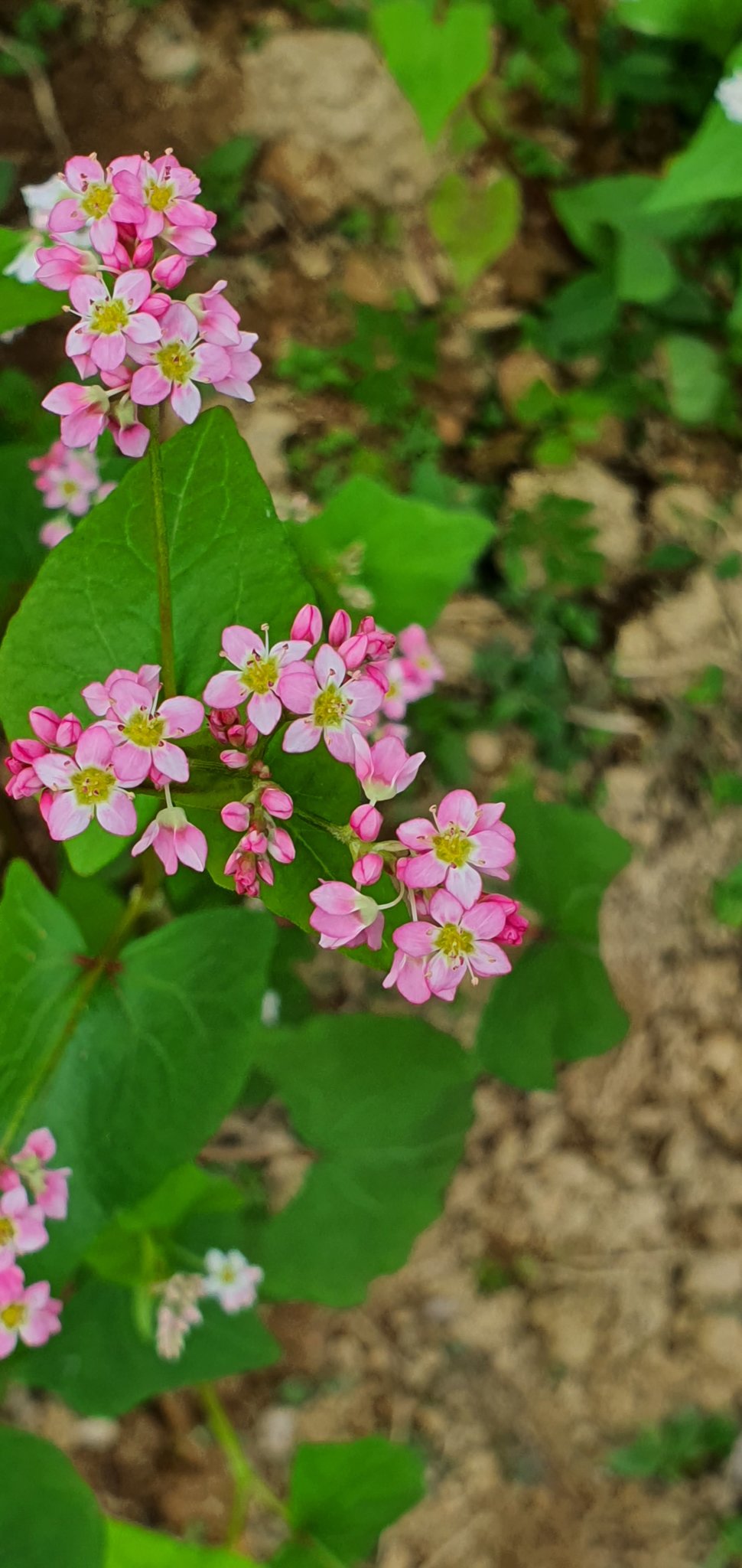 20191007_114757.jpg