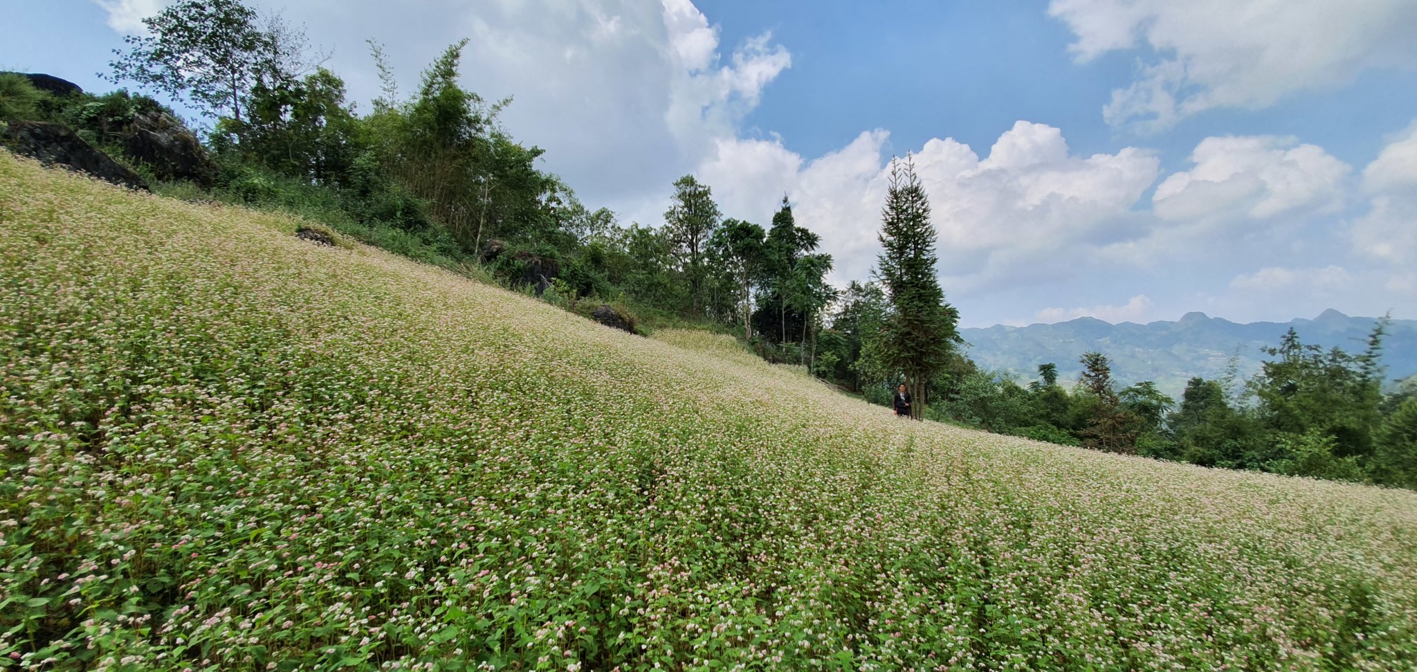 20191007_120351.jpg