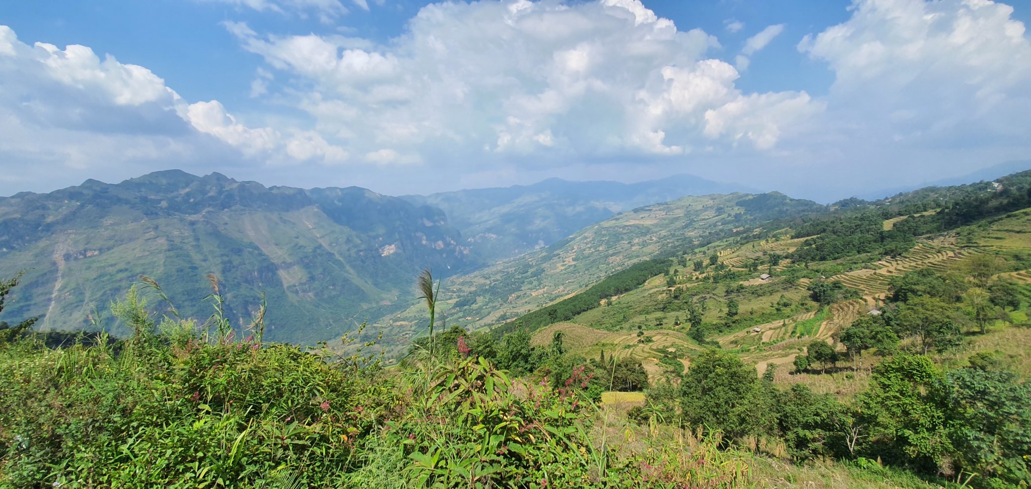 20191007_132724.jpg