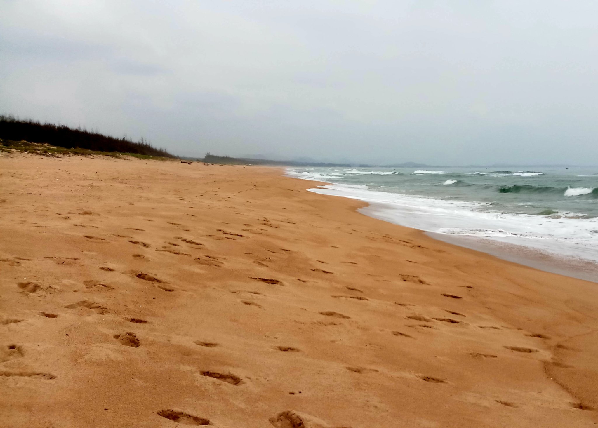20191007_222219.jpg