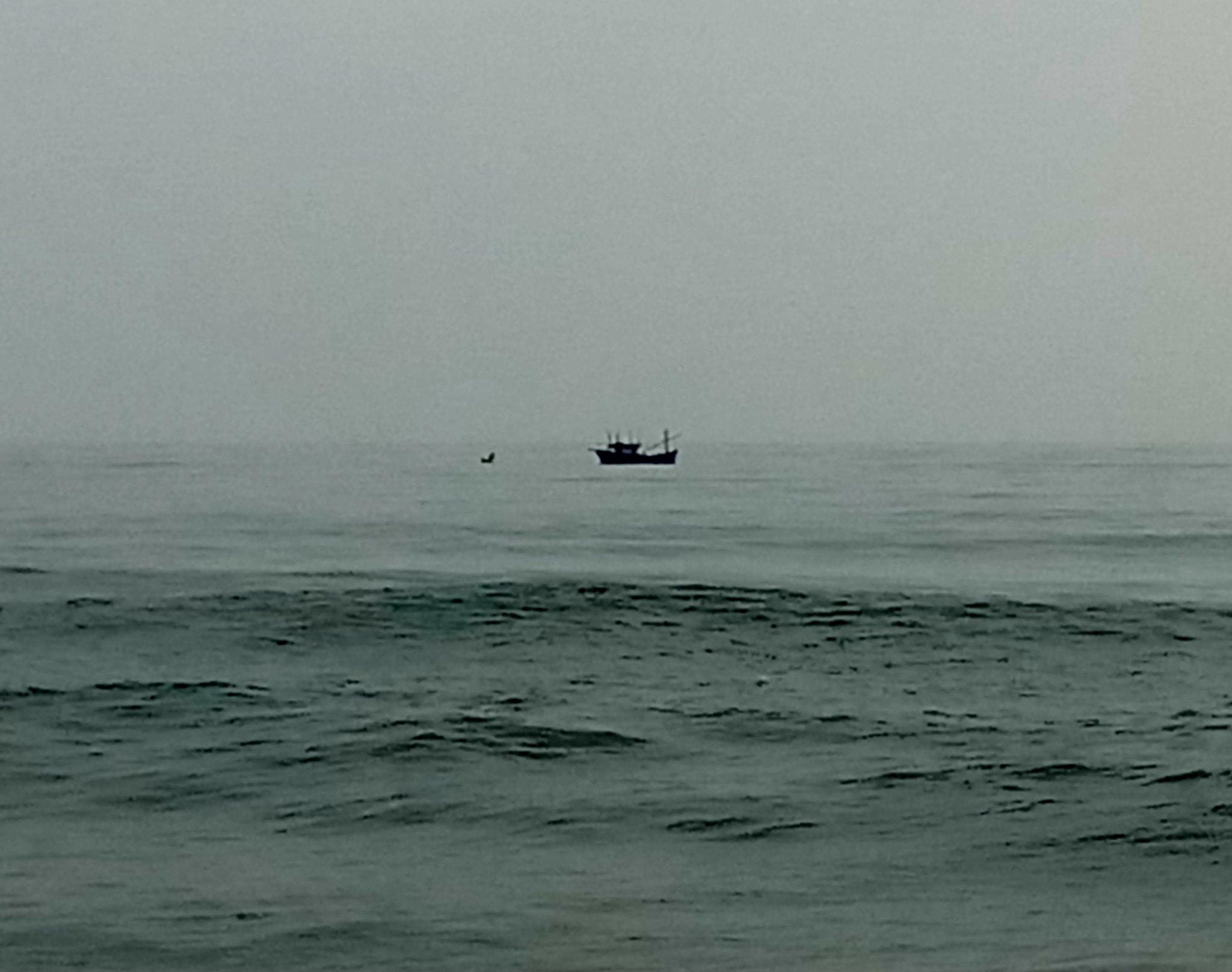 20191007_223045.jpg