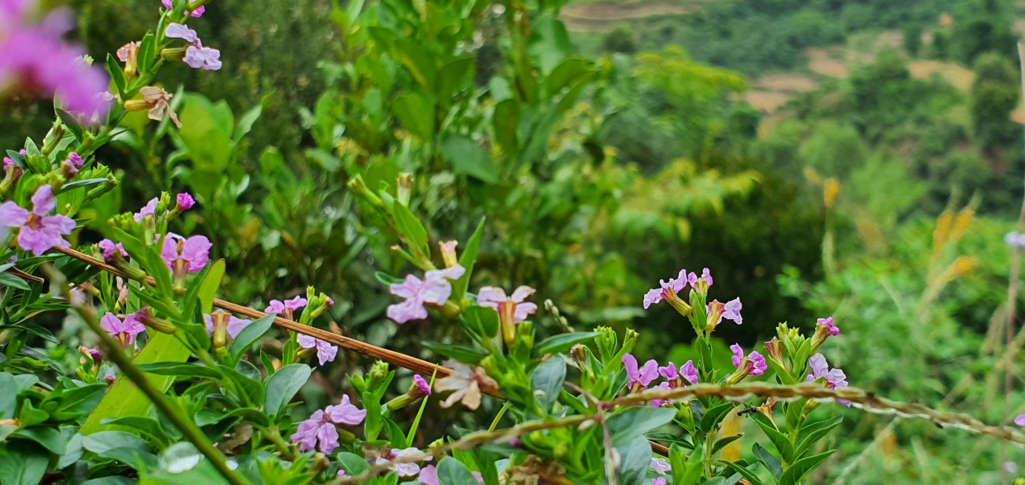 20191008_111745.jpg