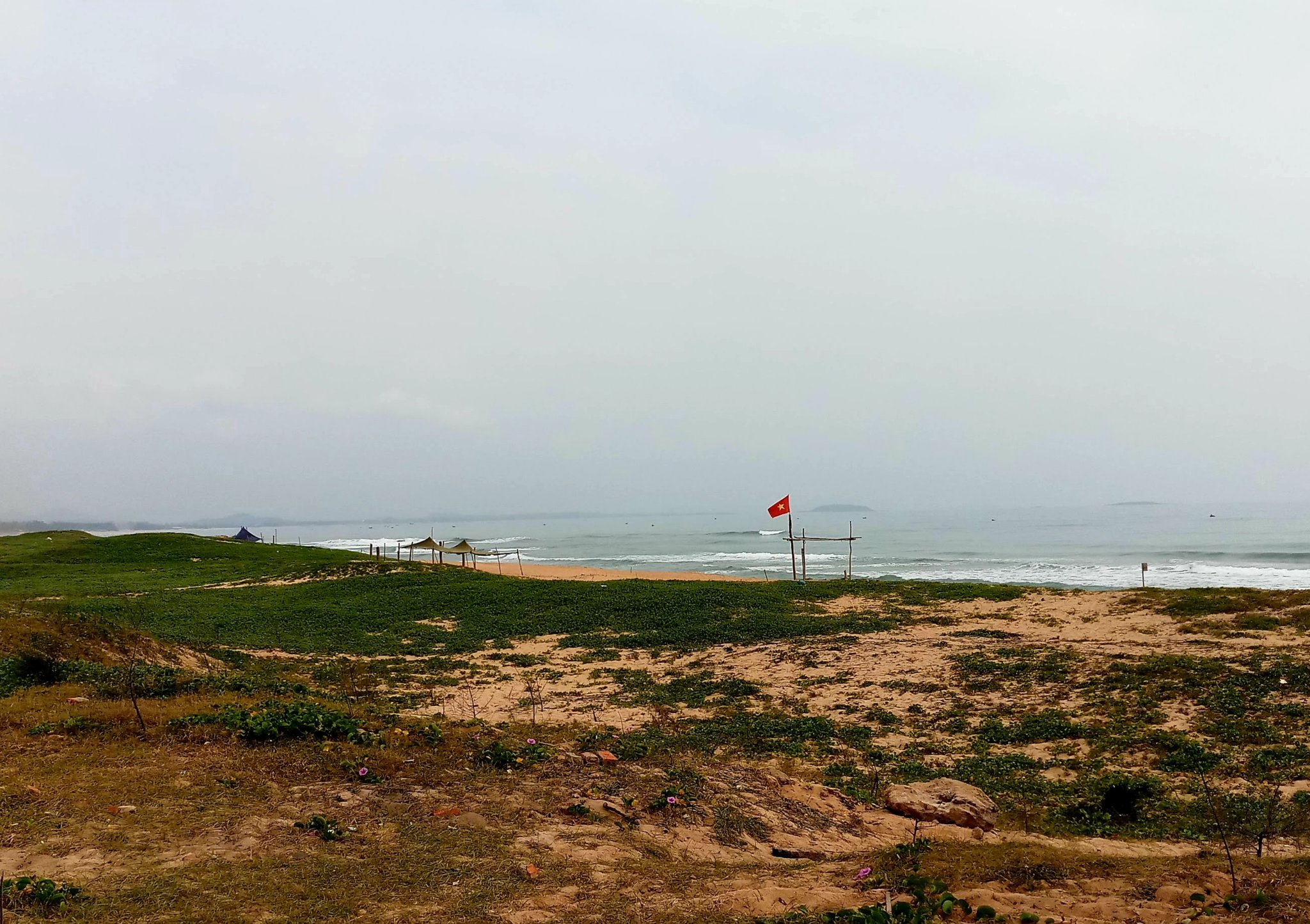 20191008_202310.jpg
