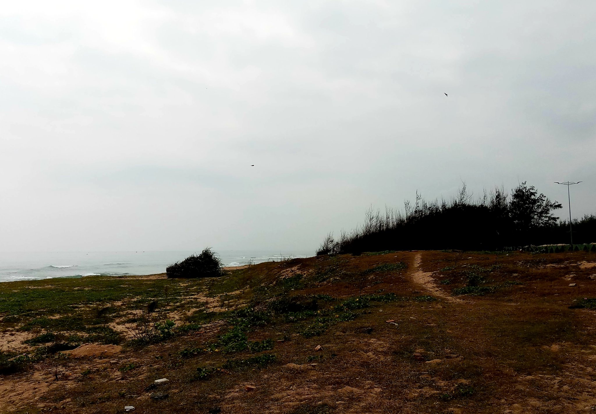 20191008_202335.jpg