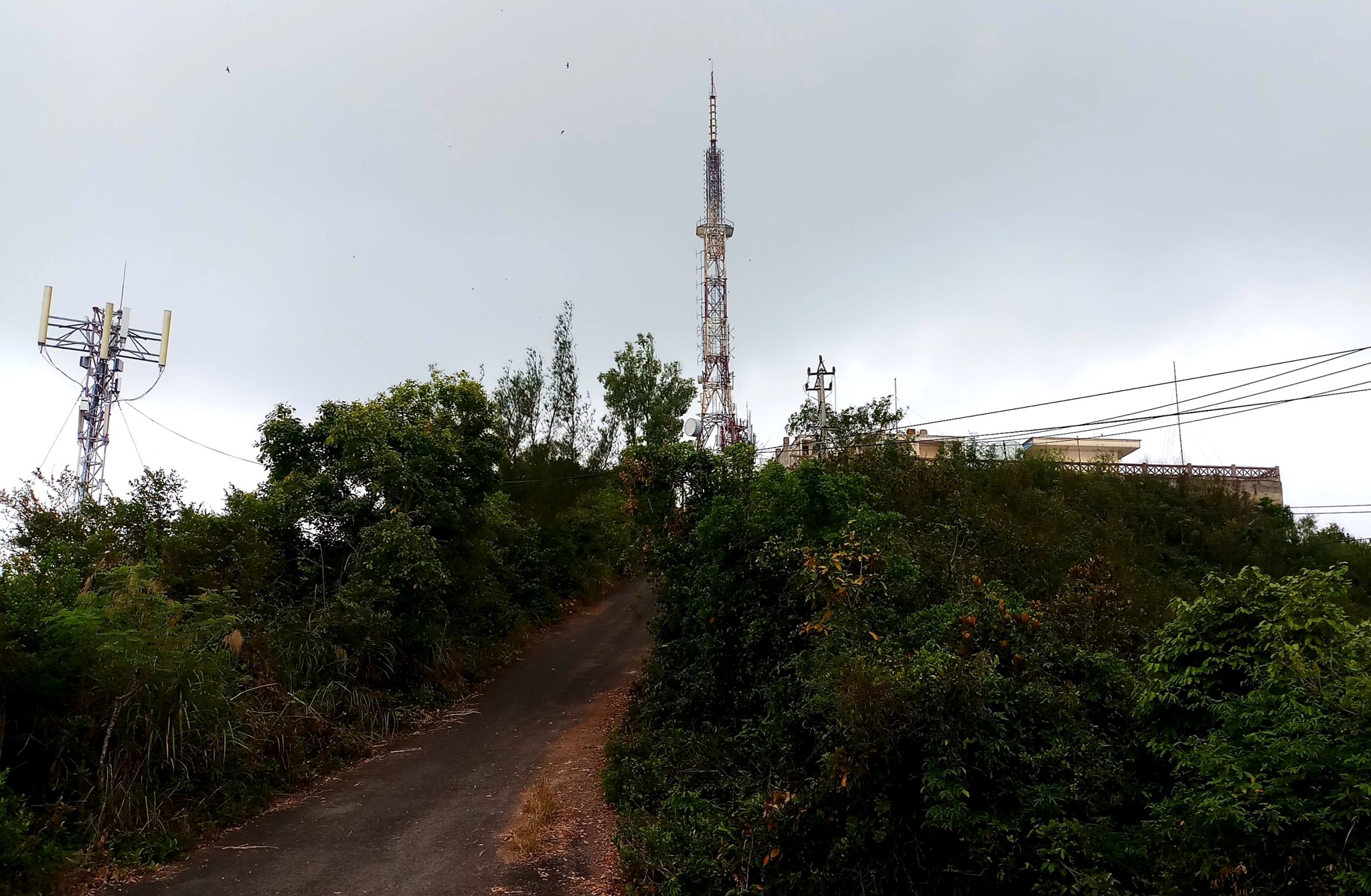 20191008_220141.jpg