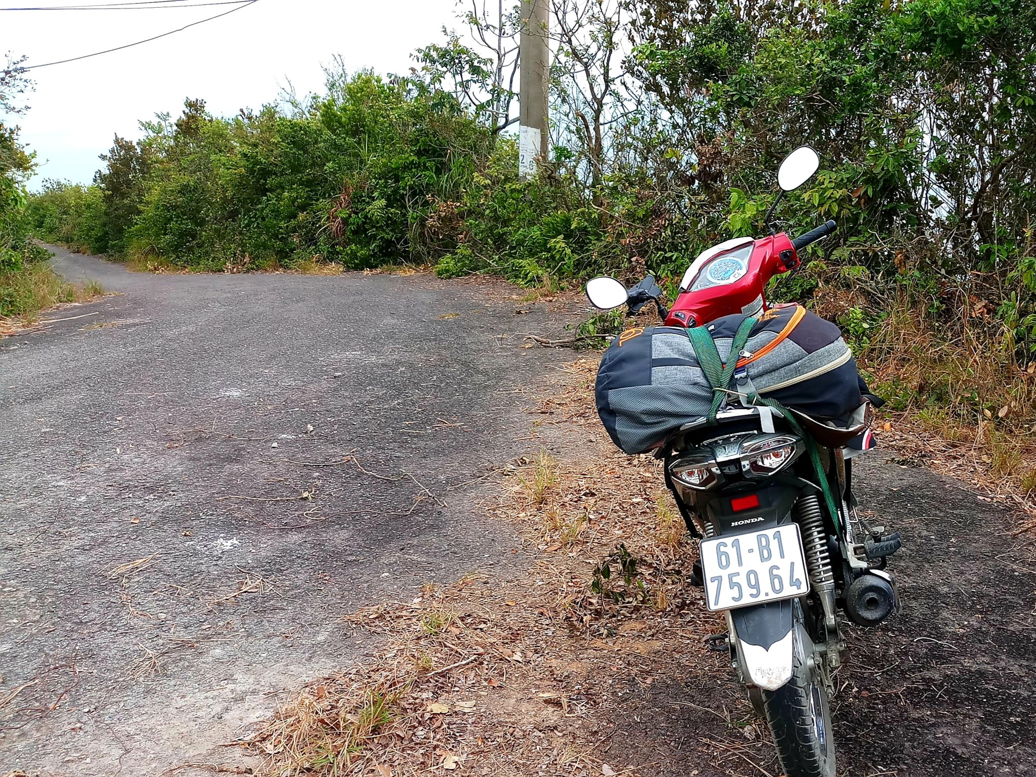 20191008_220152.jpg