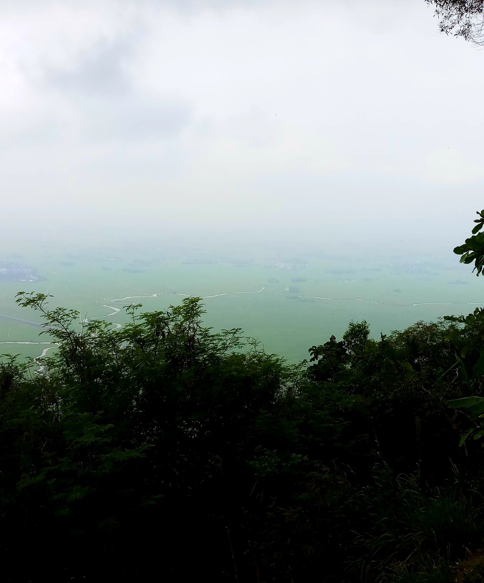 20191008_220251.jpg