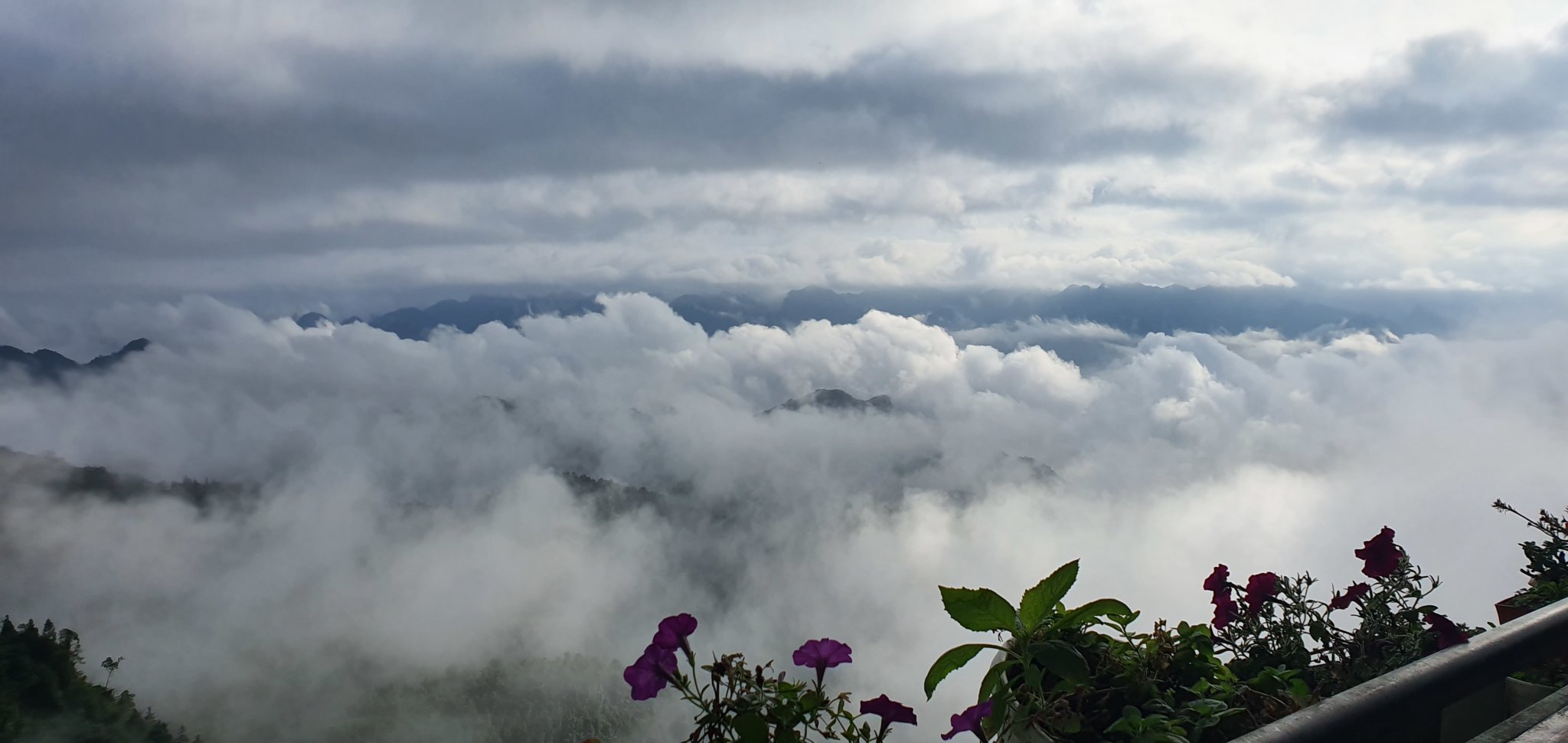 20191009_073725.jpg