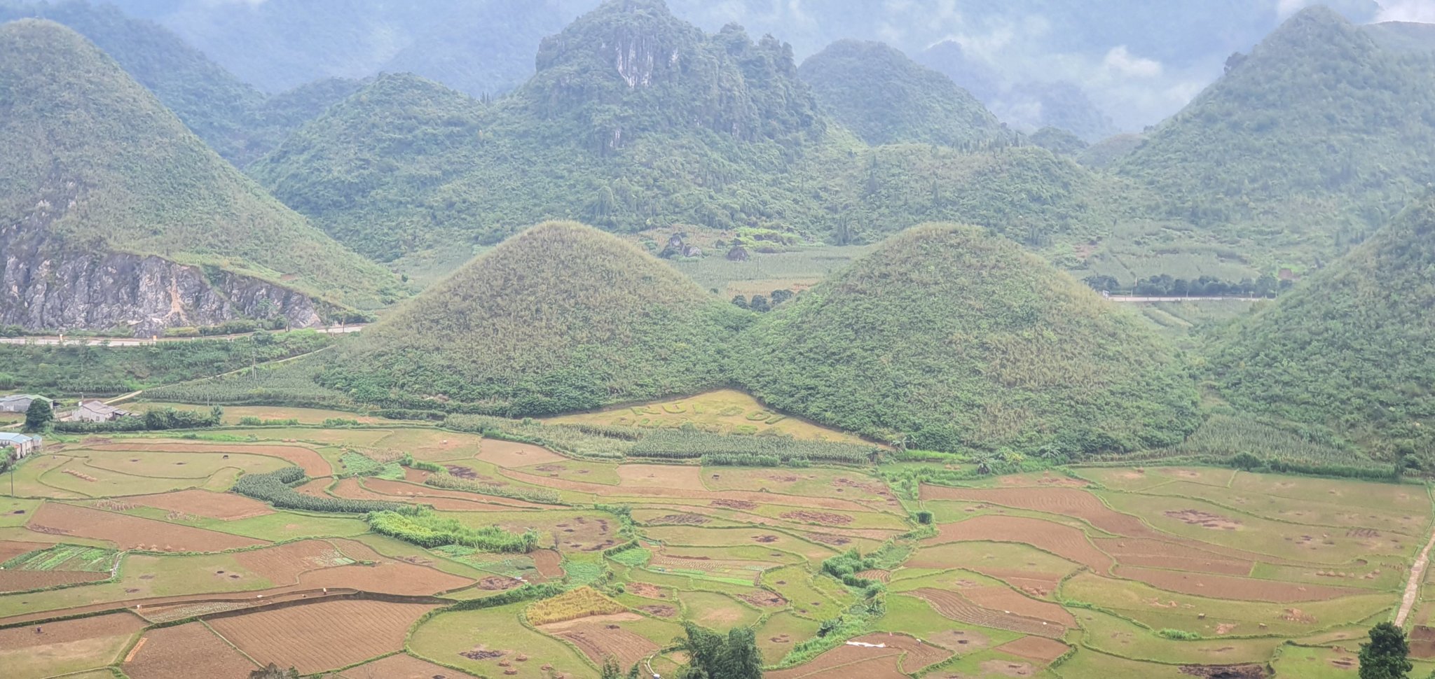 20191009_083655.jpg