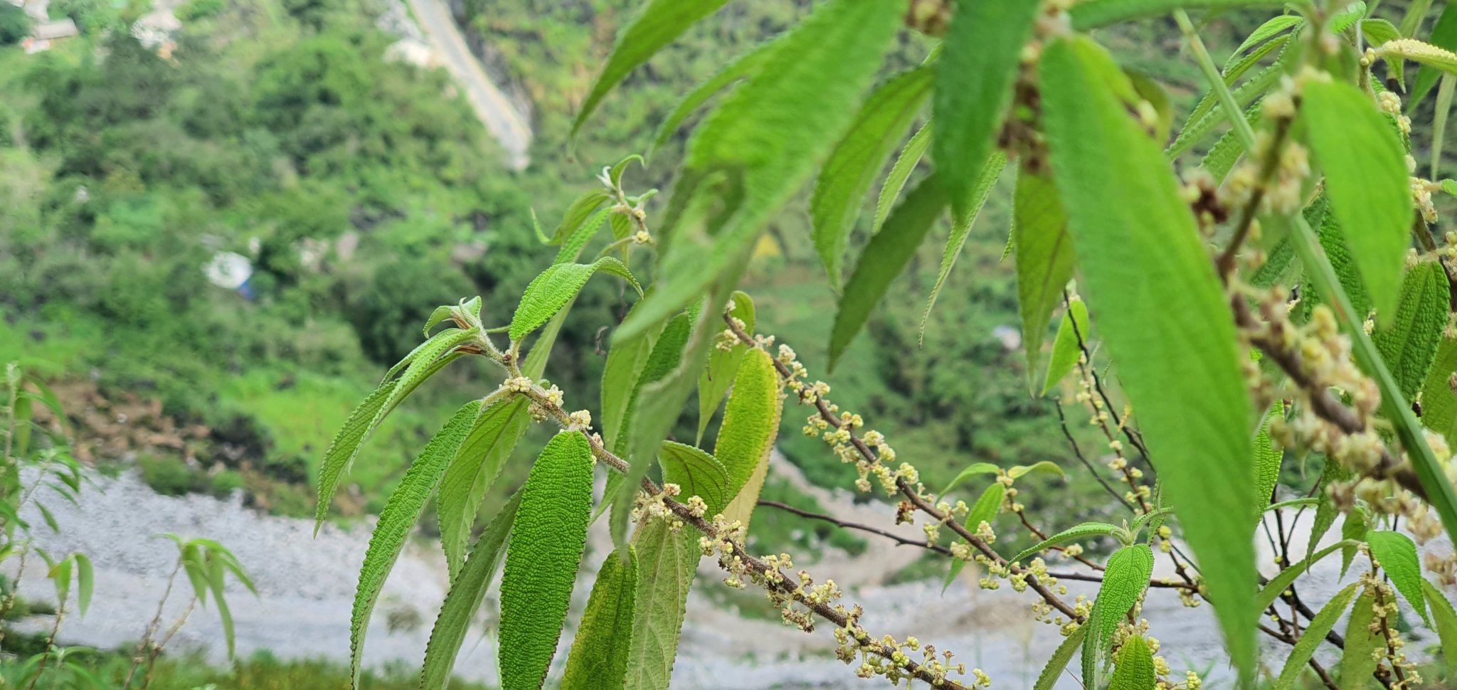20191009_104147.jpg
