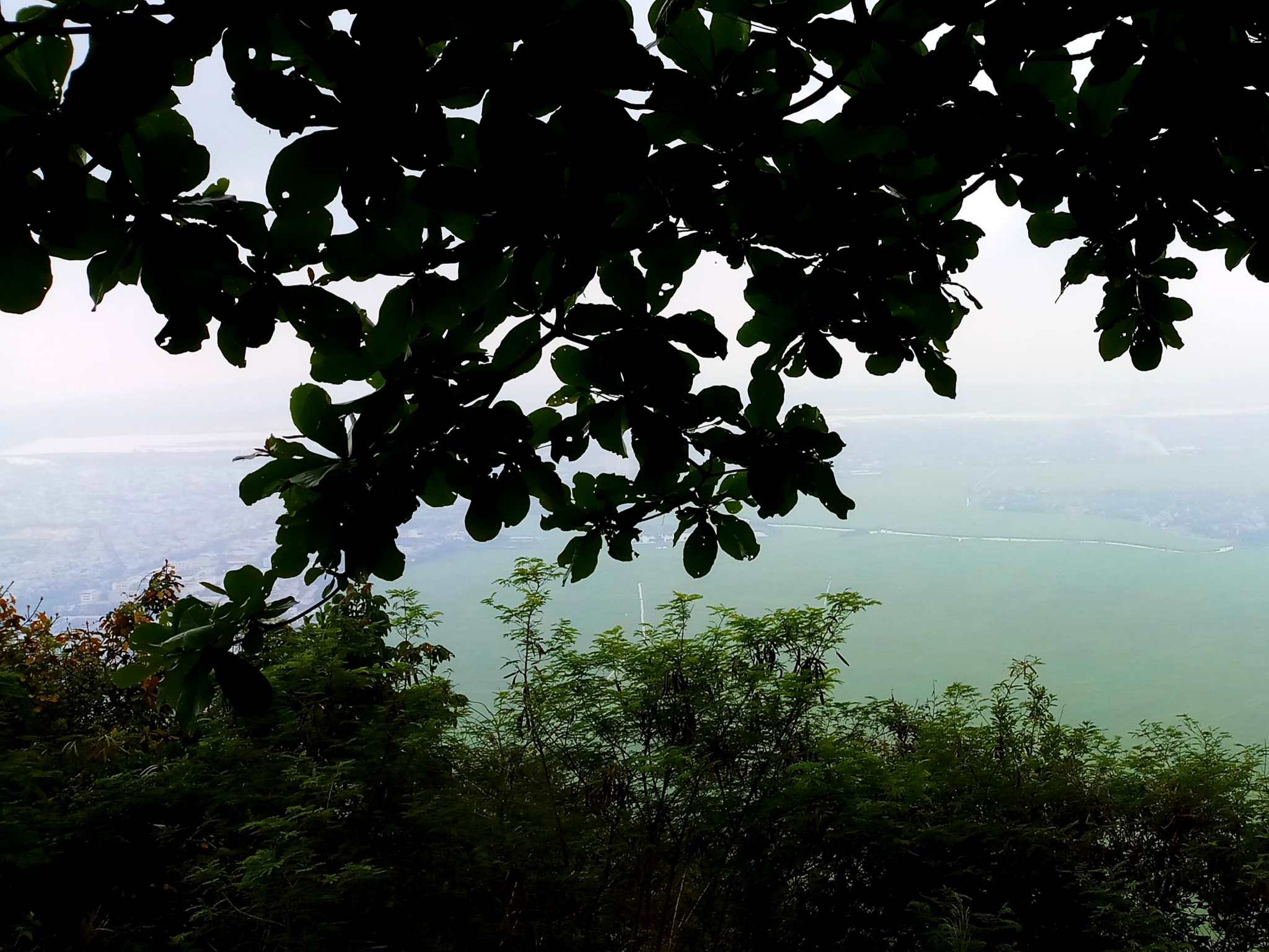 20191009_104237.jpg