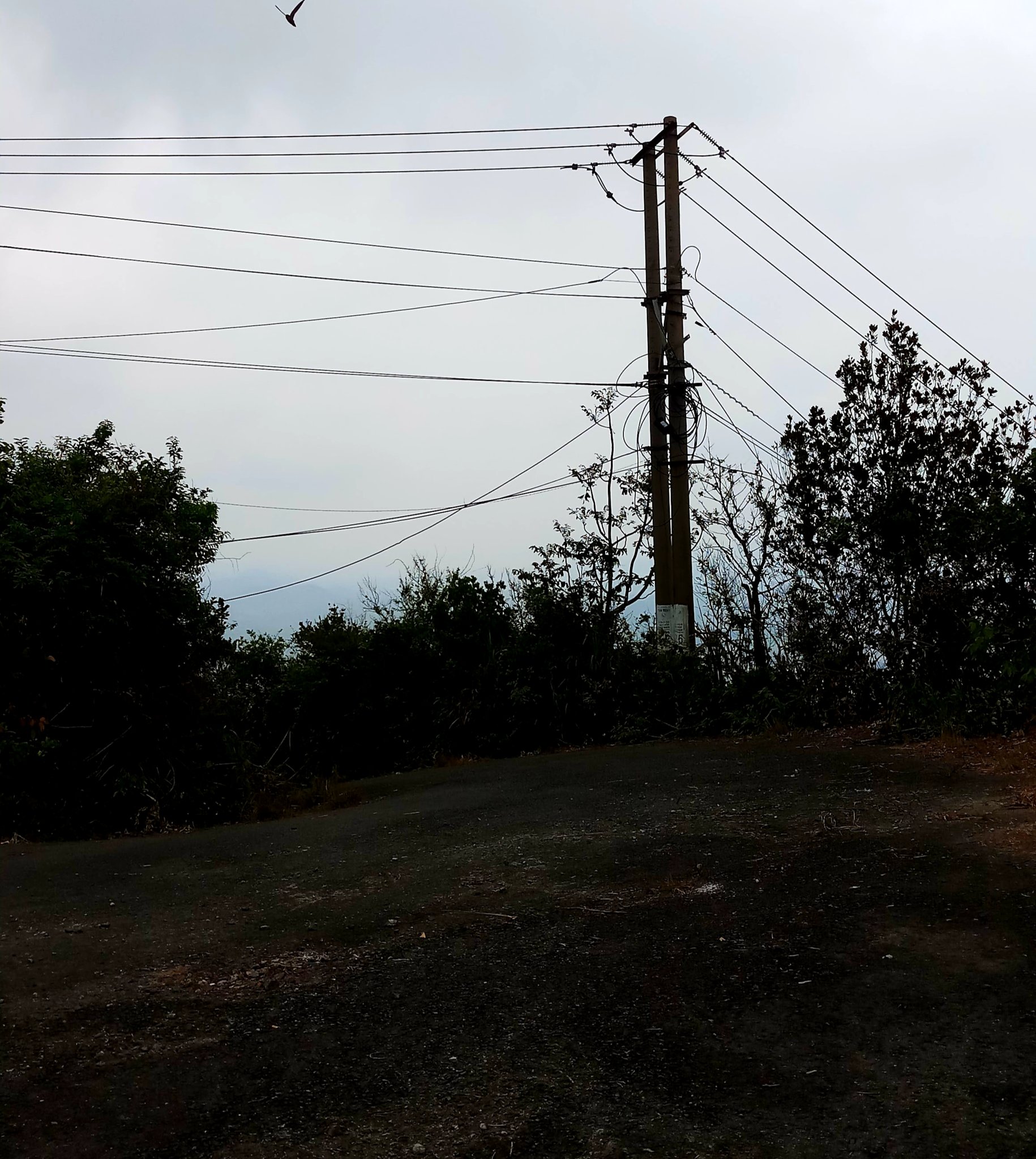 20191009_104301.jpg