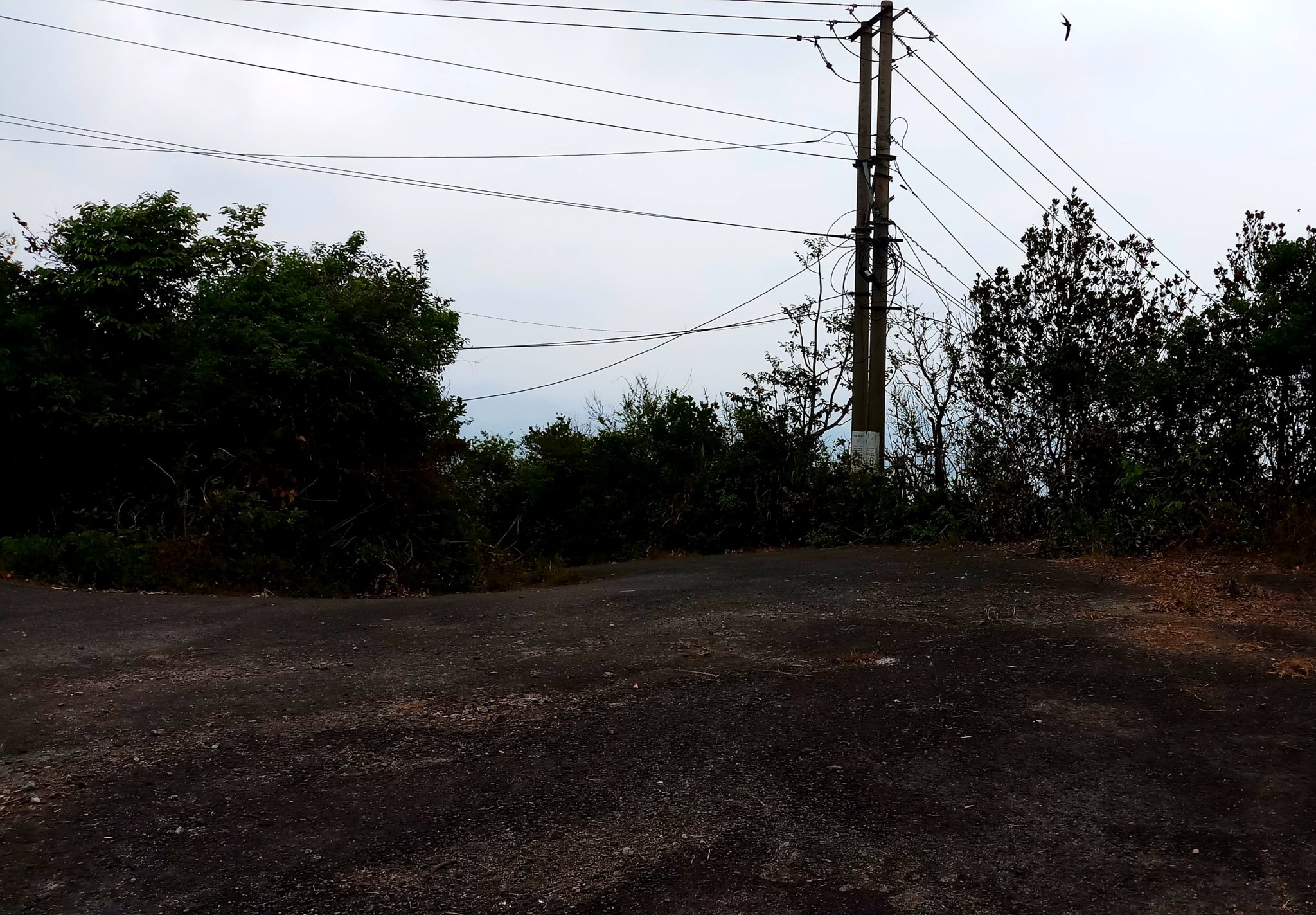 20191009_104349.jpg