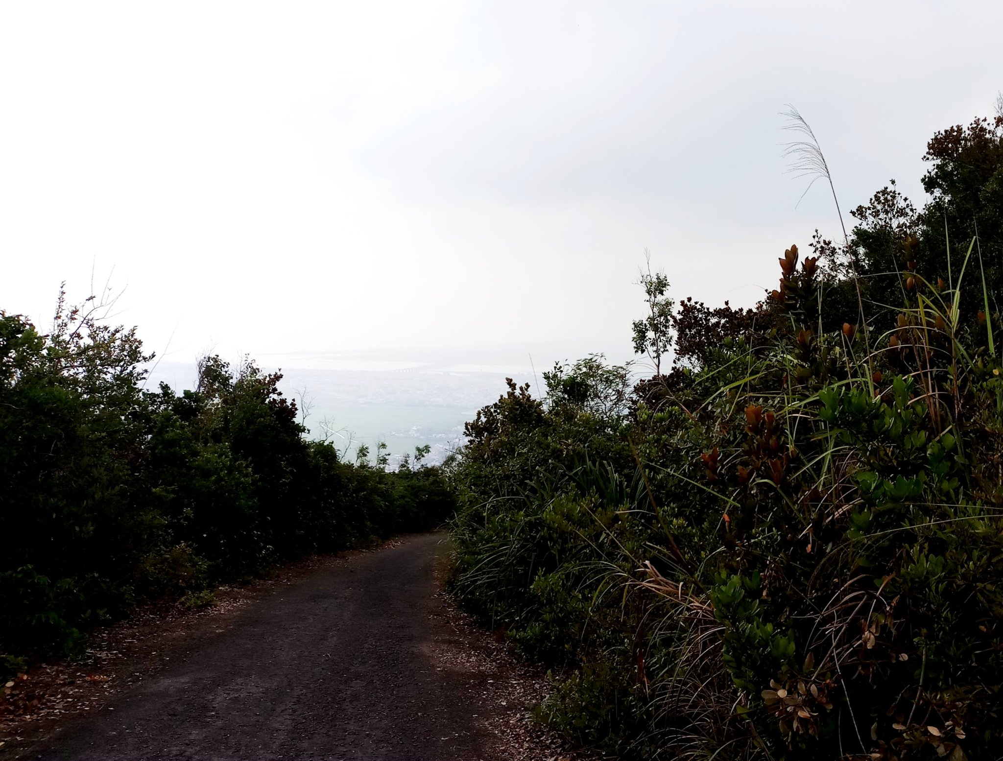 20191009_104412.jpg