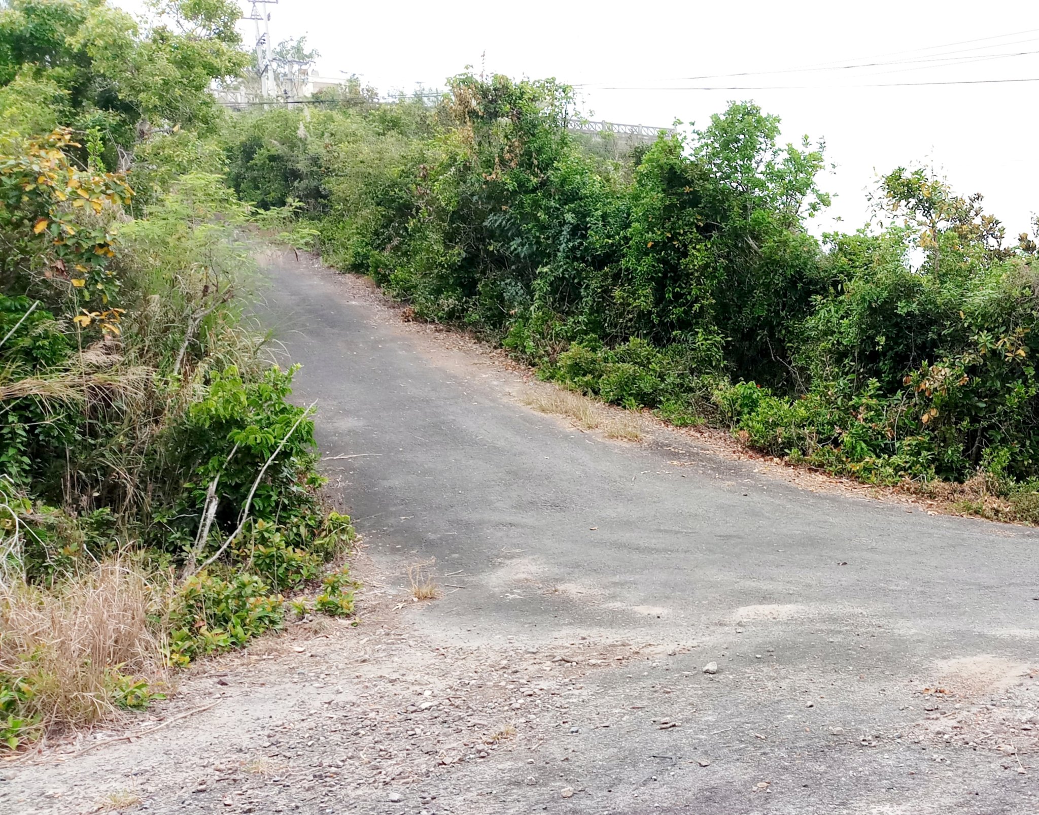 20191009_104456.jpg