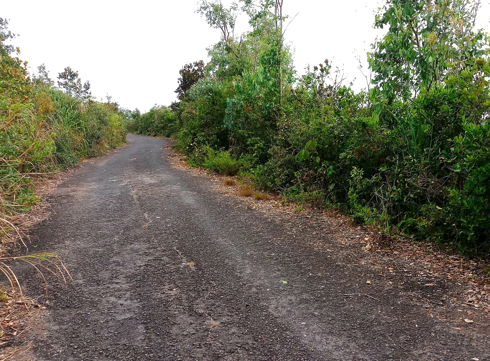 20191009_124843.jpg
