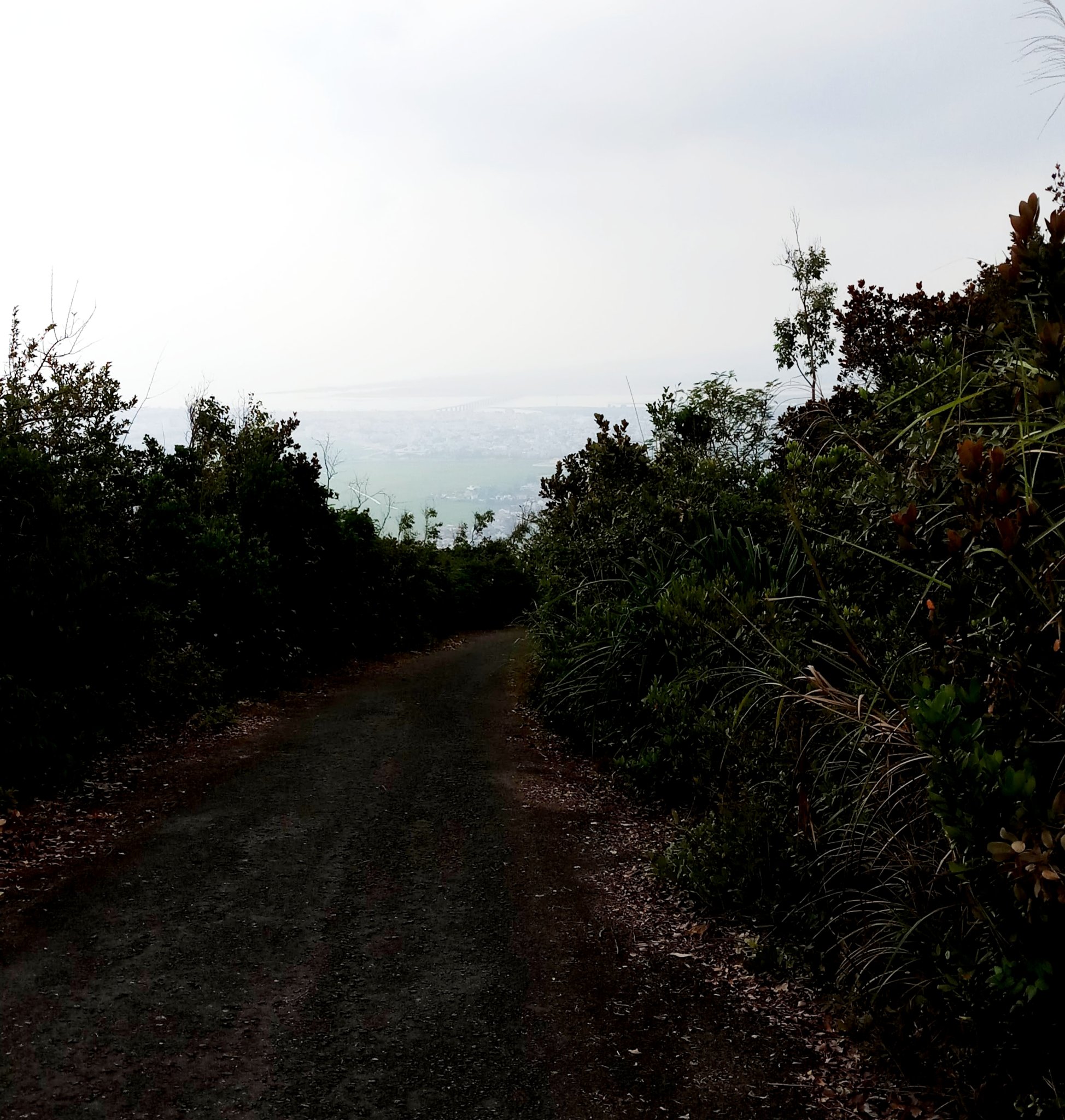 20191009_124902.jpg