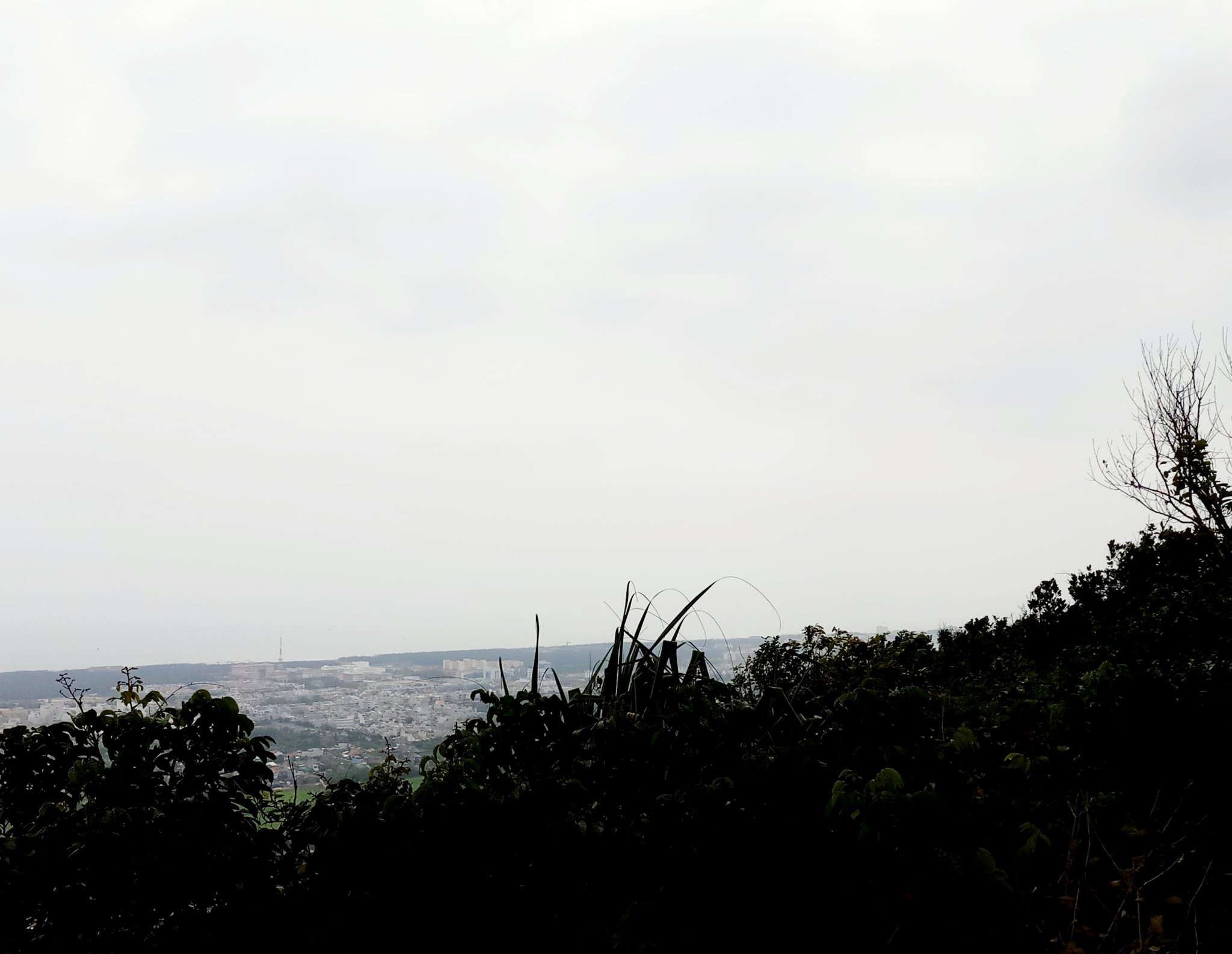 20191009_124927.jpg
