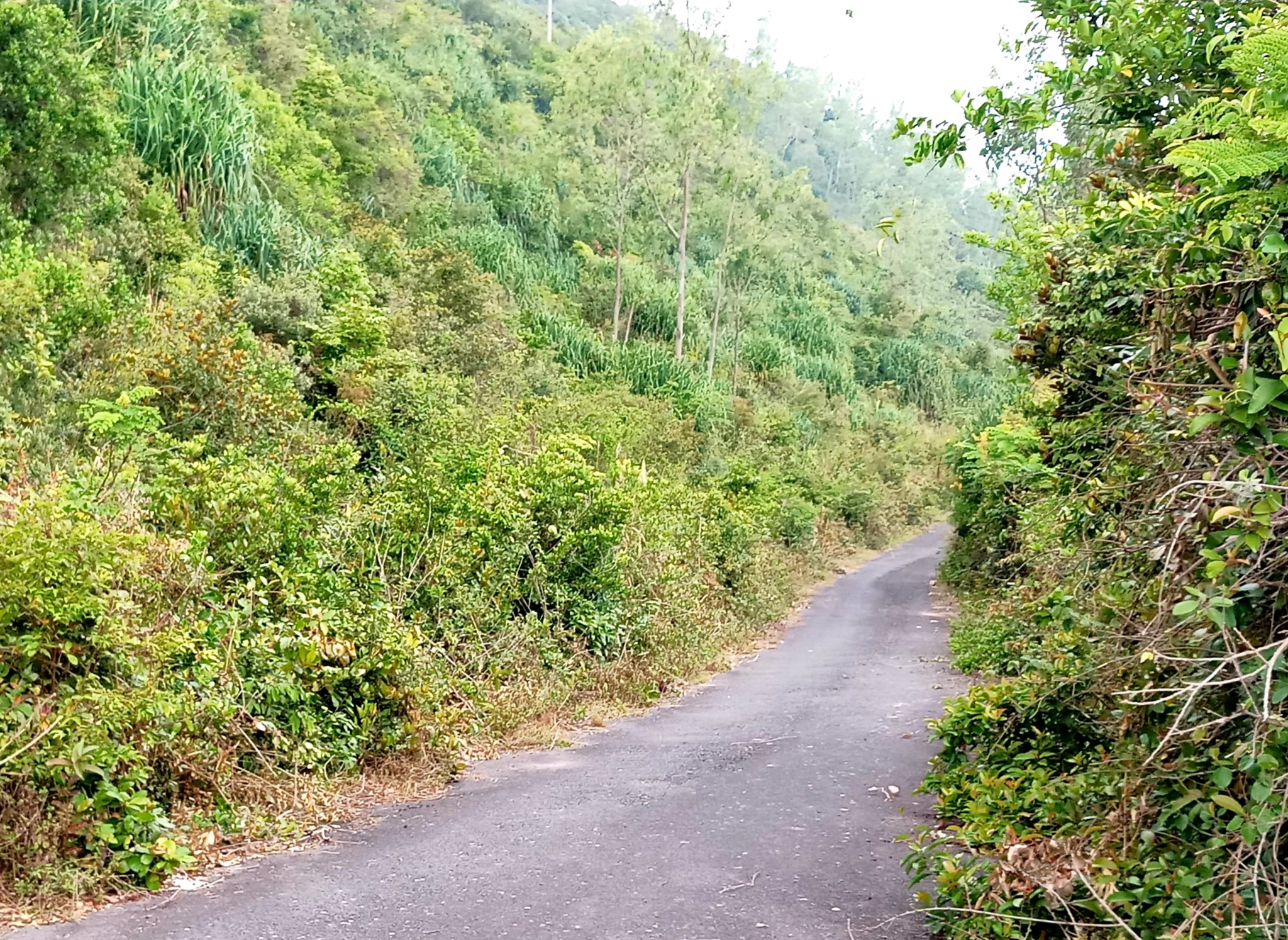 20191009_134904.jpg