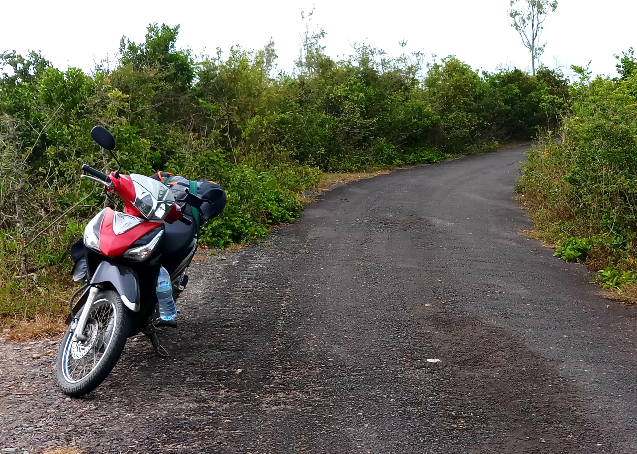 20191009_134919.jpg