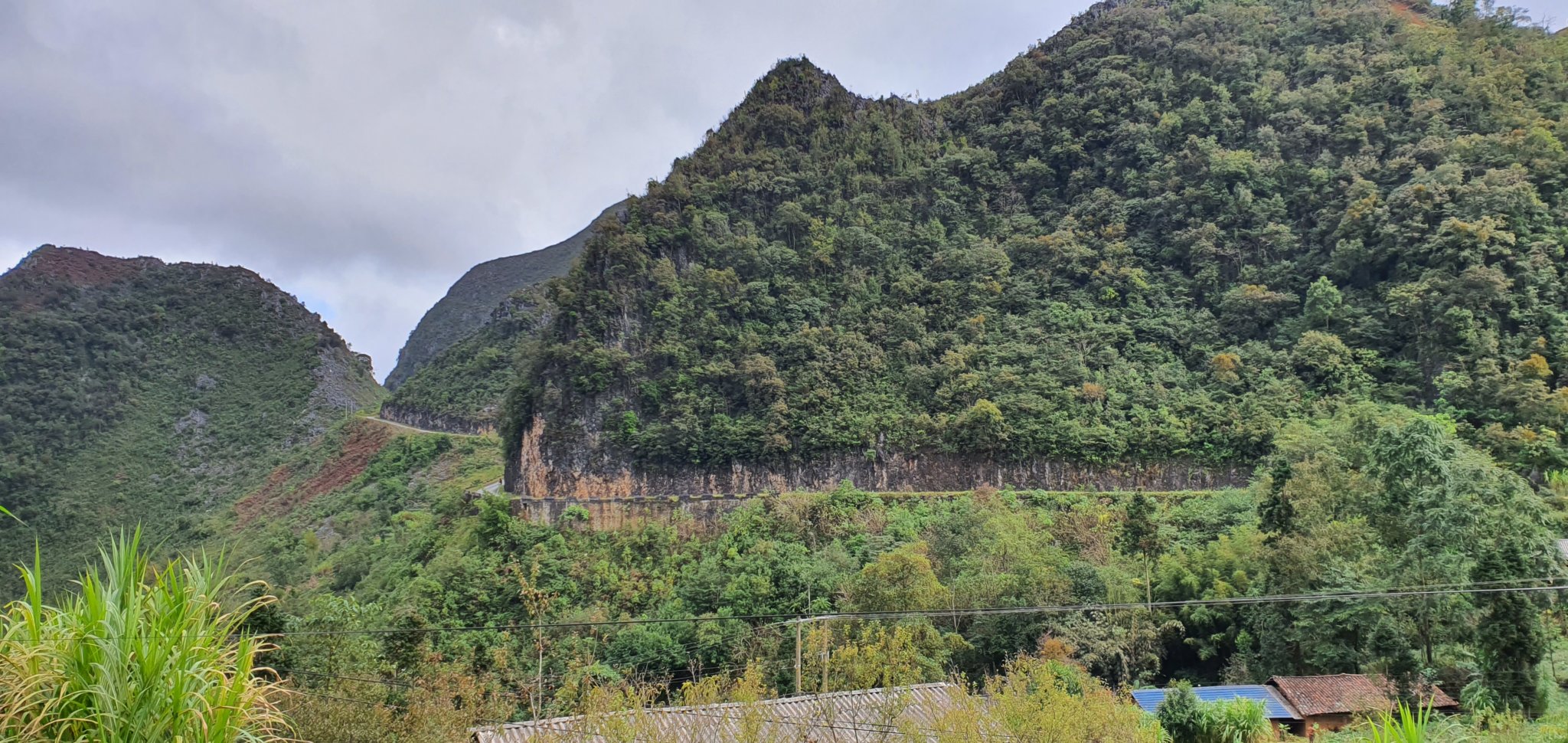 20191009_153552.jpg