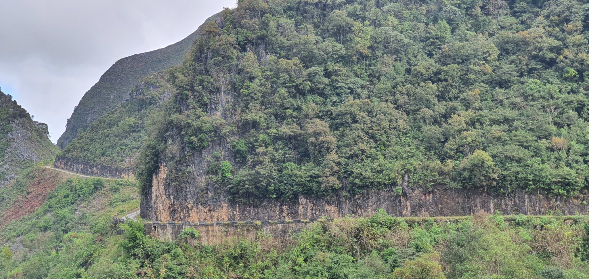 20191009_153556.jpg