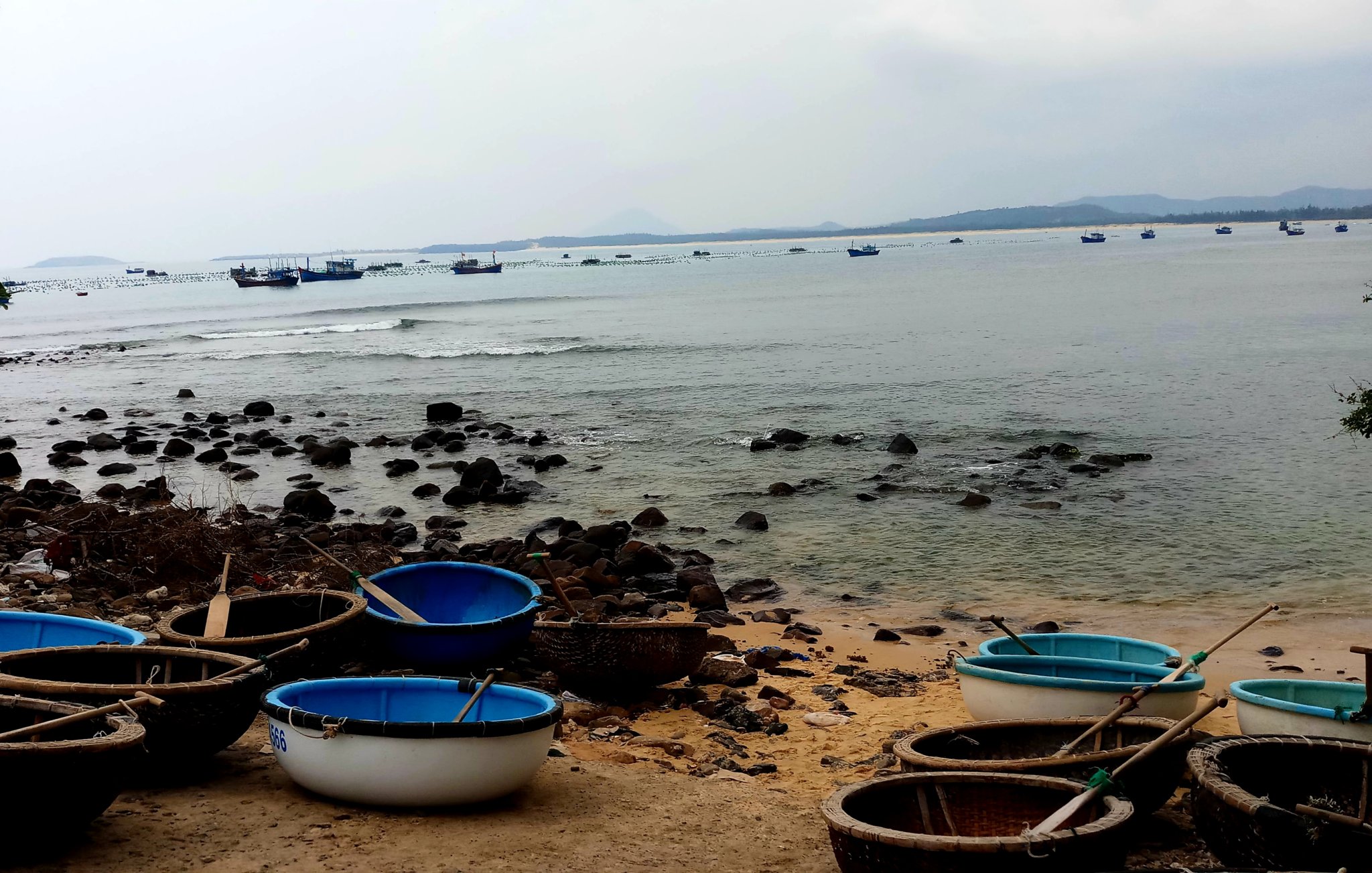 20191009_155521.jpg