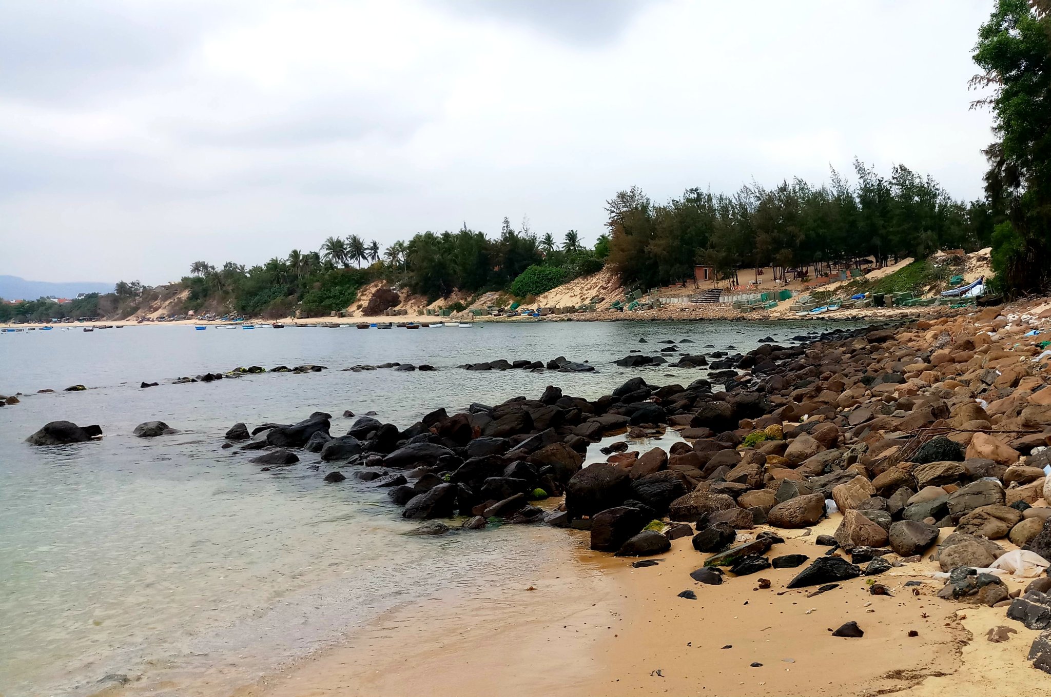 20191009_155631.jpg