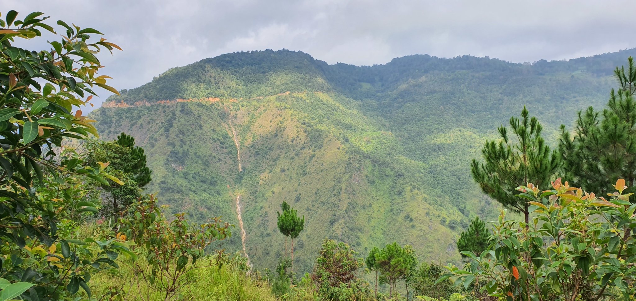 20191010_092138.jpg