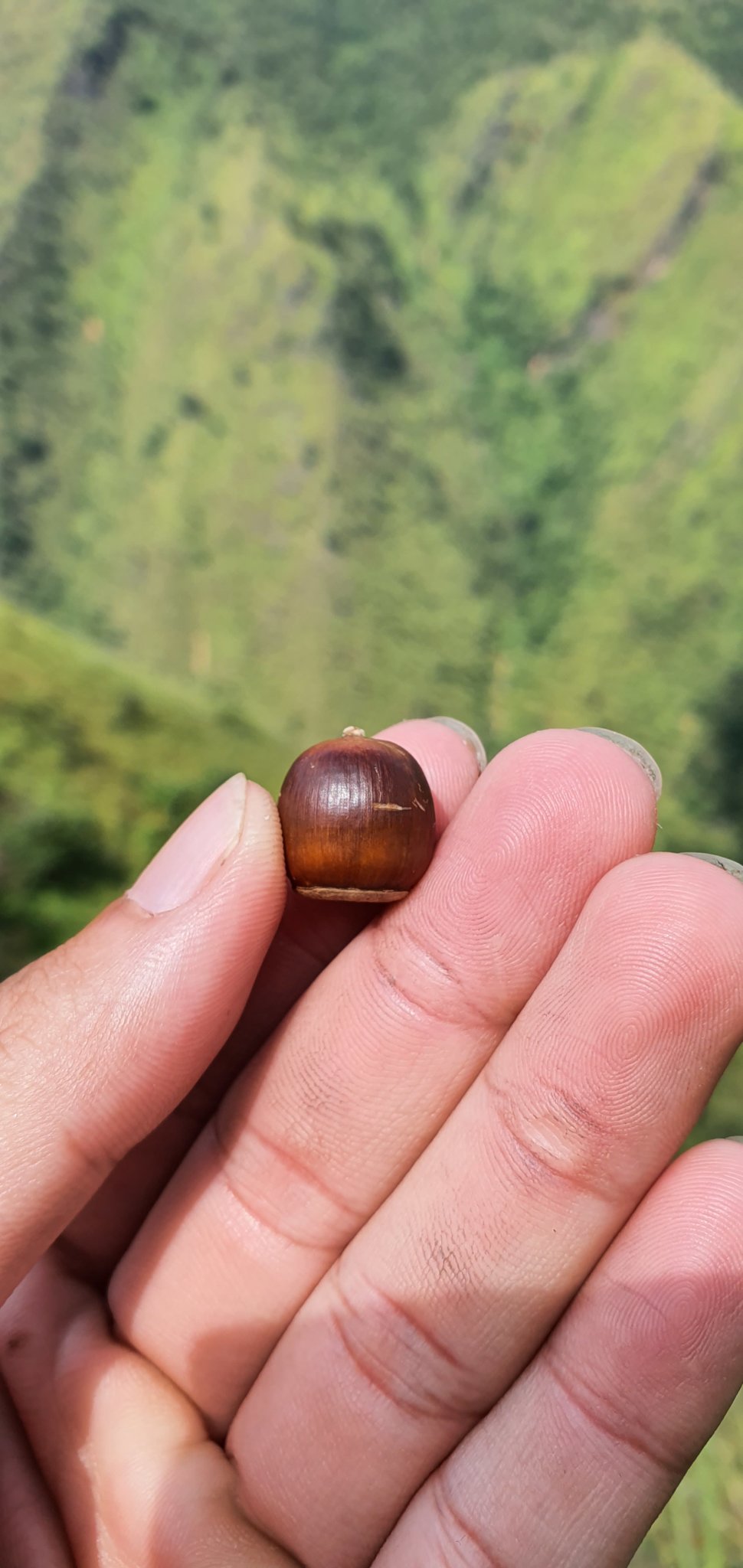 20191010_114636.jpg