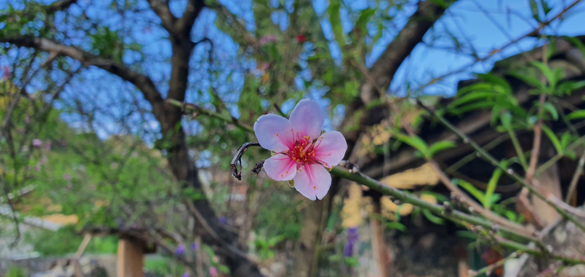 20191010_160429.jpg