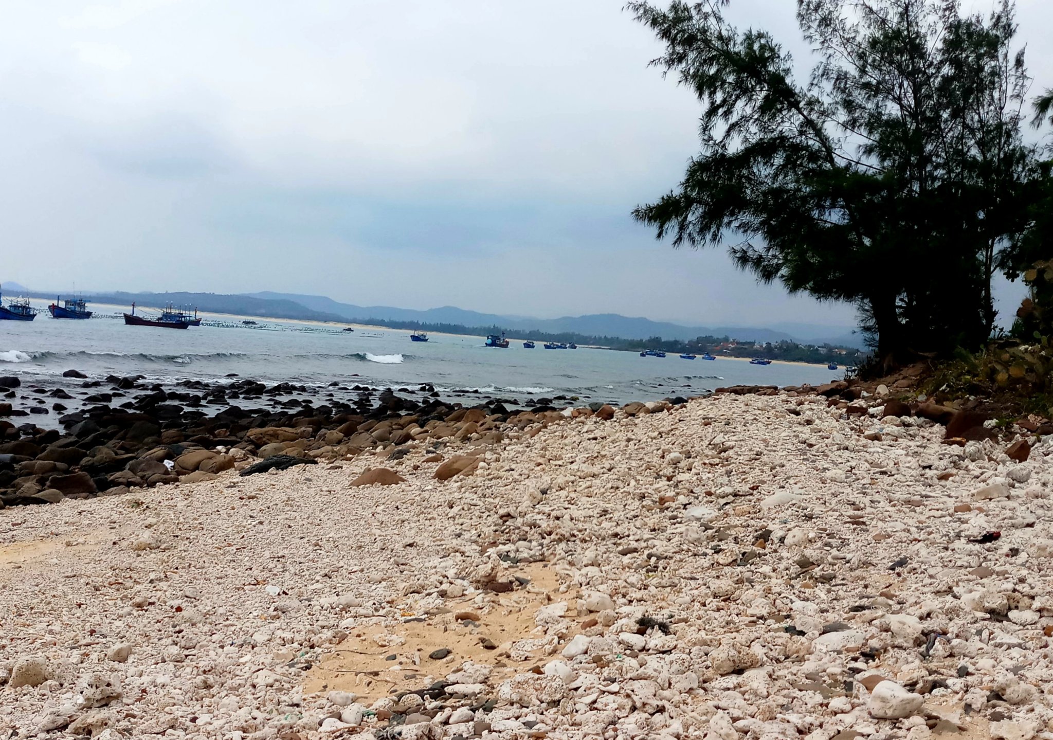 20191010_213522.jpg