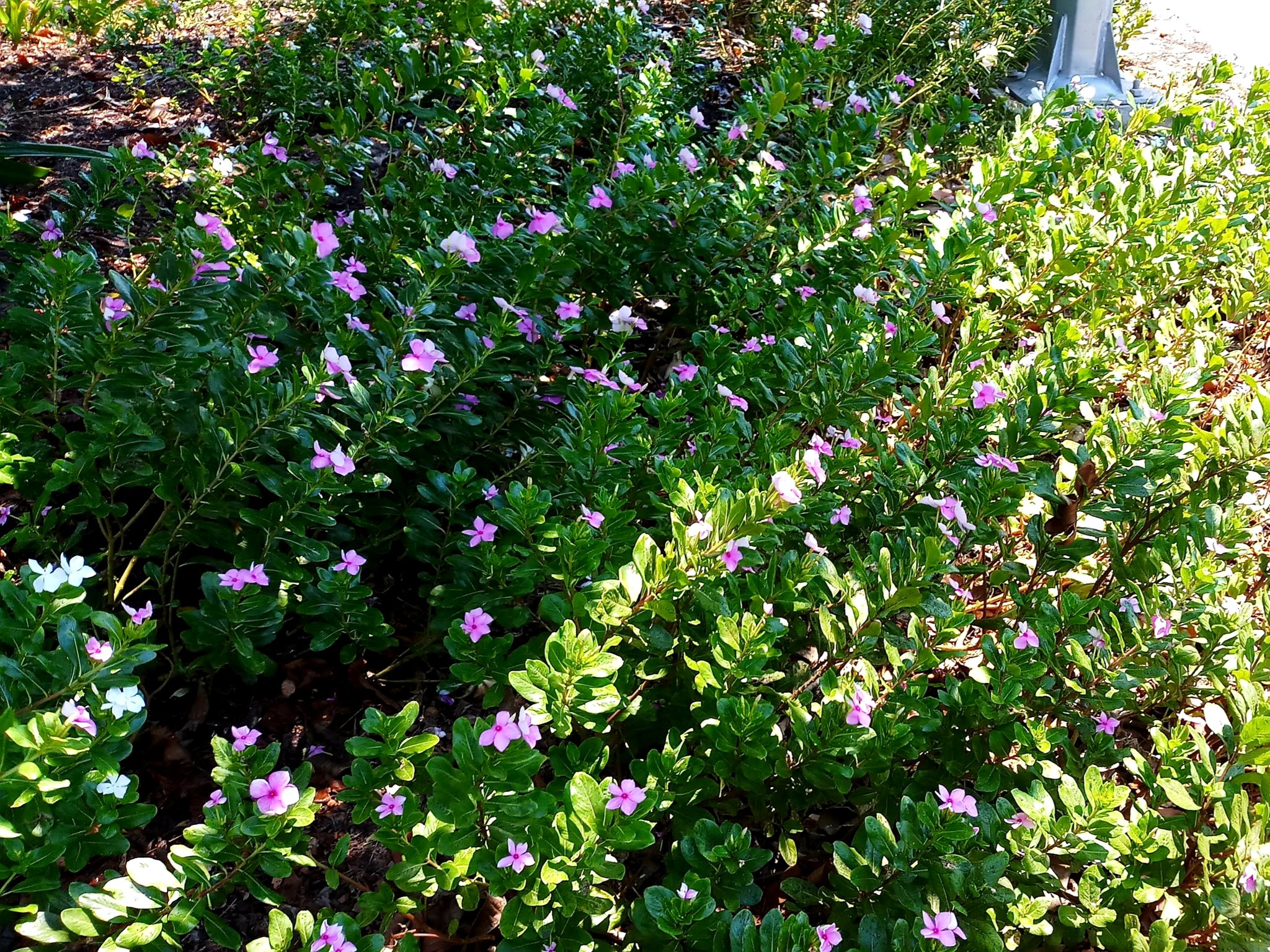 20191010_235547.jpg