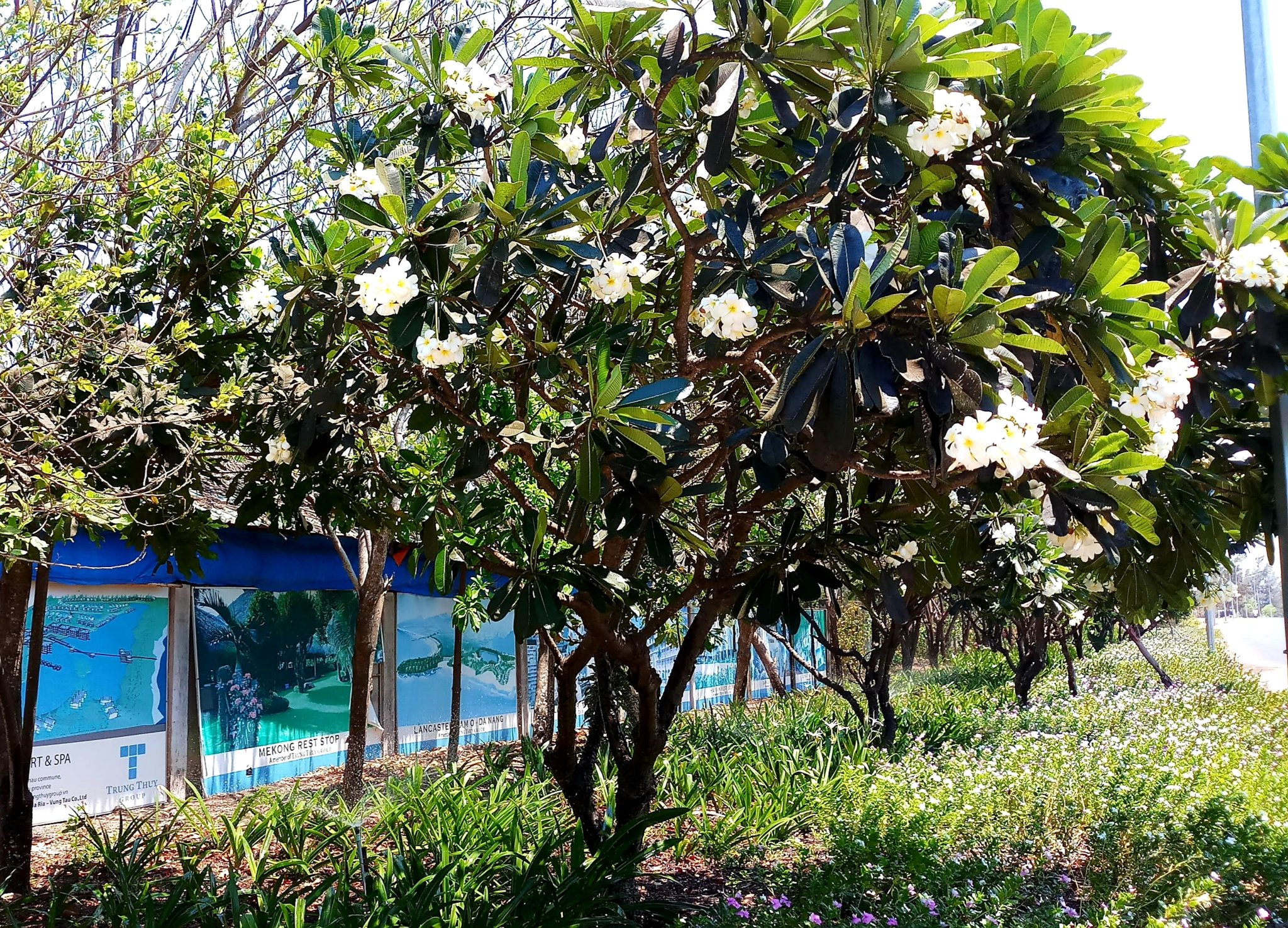 20191010_235736.jpg