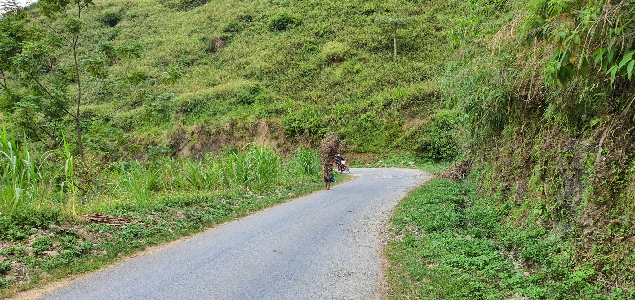 20191011_160445.jpg